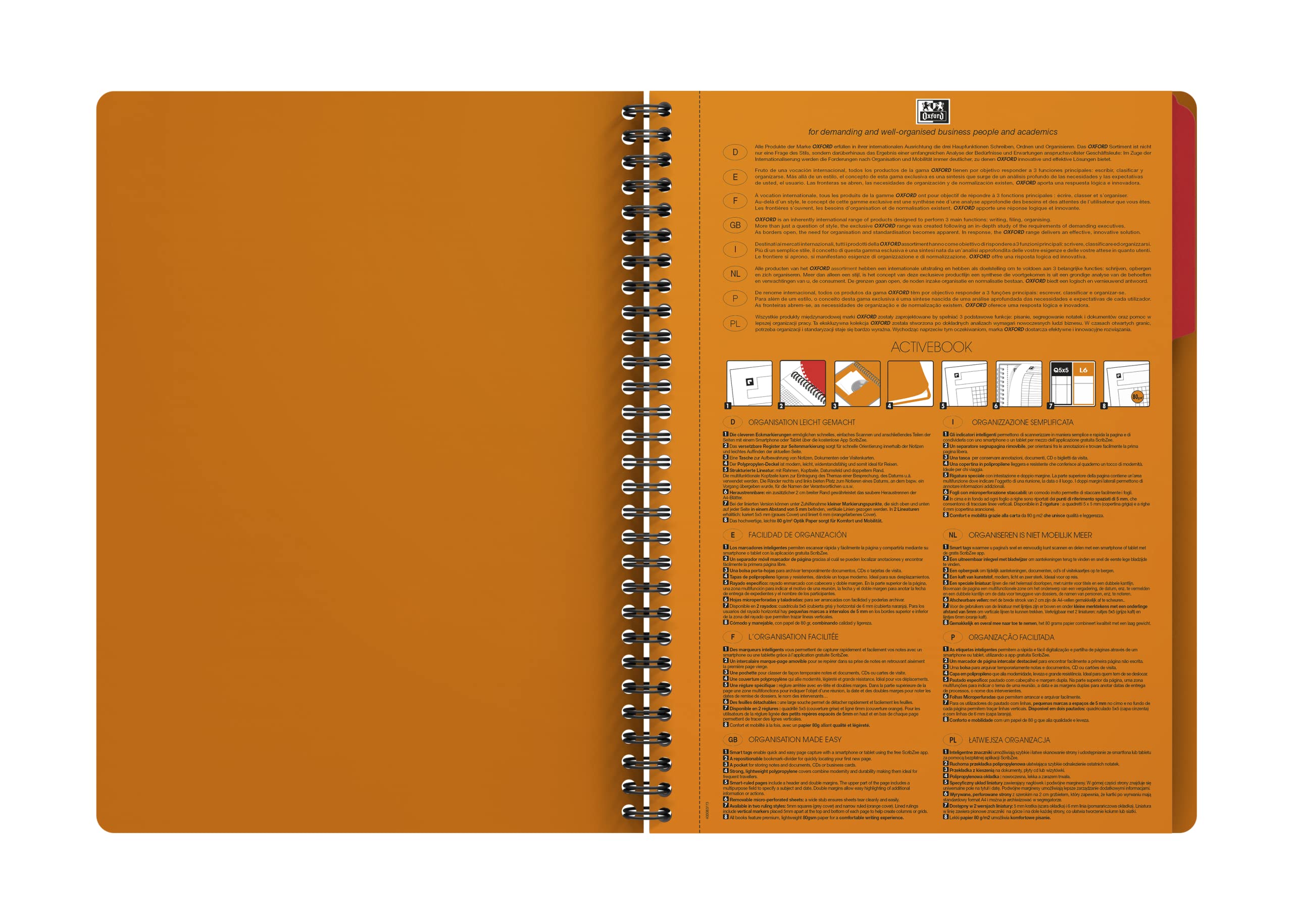 Oxford Bloc-notes B5 - Blocco a righe "International", 160 pagine, 1 divisore a scomparsa, 5 pezzi