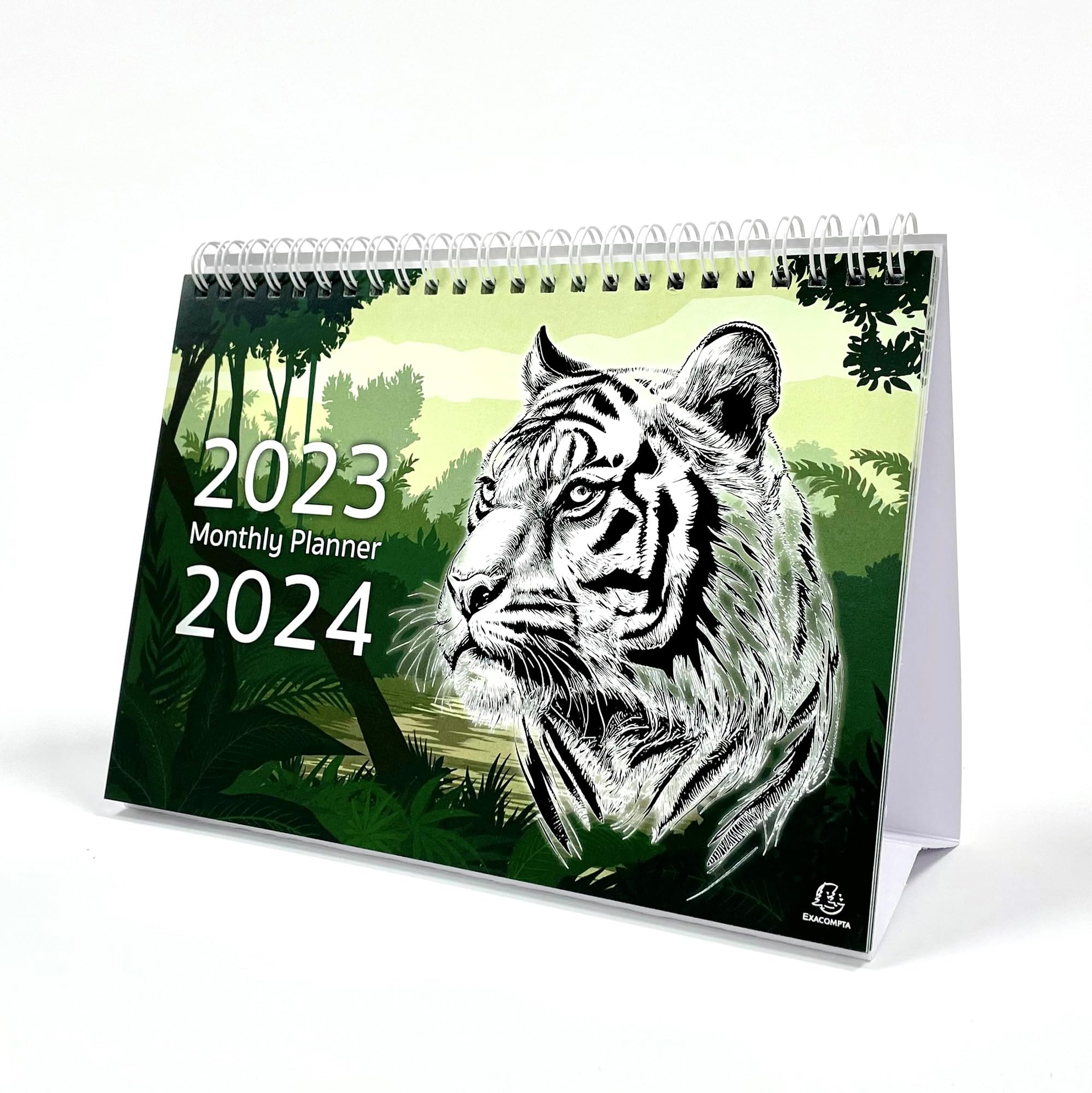 View 2