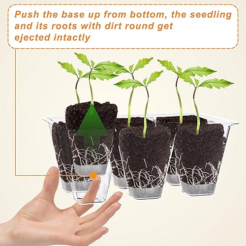 Miniatura 4 de Gardzen Paquete de 10 bandejas de inicio de semillas, bandejas emergentes de germinación de plantas, kit de inicio de semillas con cúpula ventilada