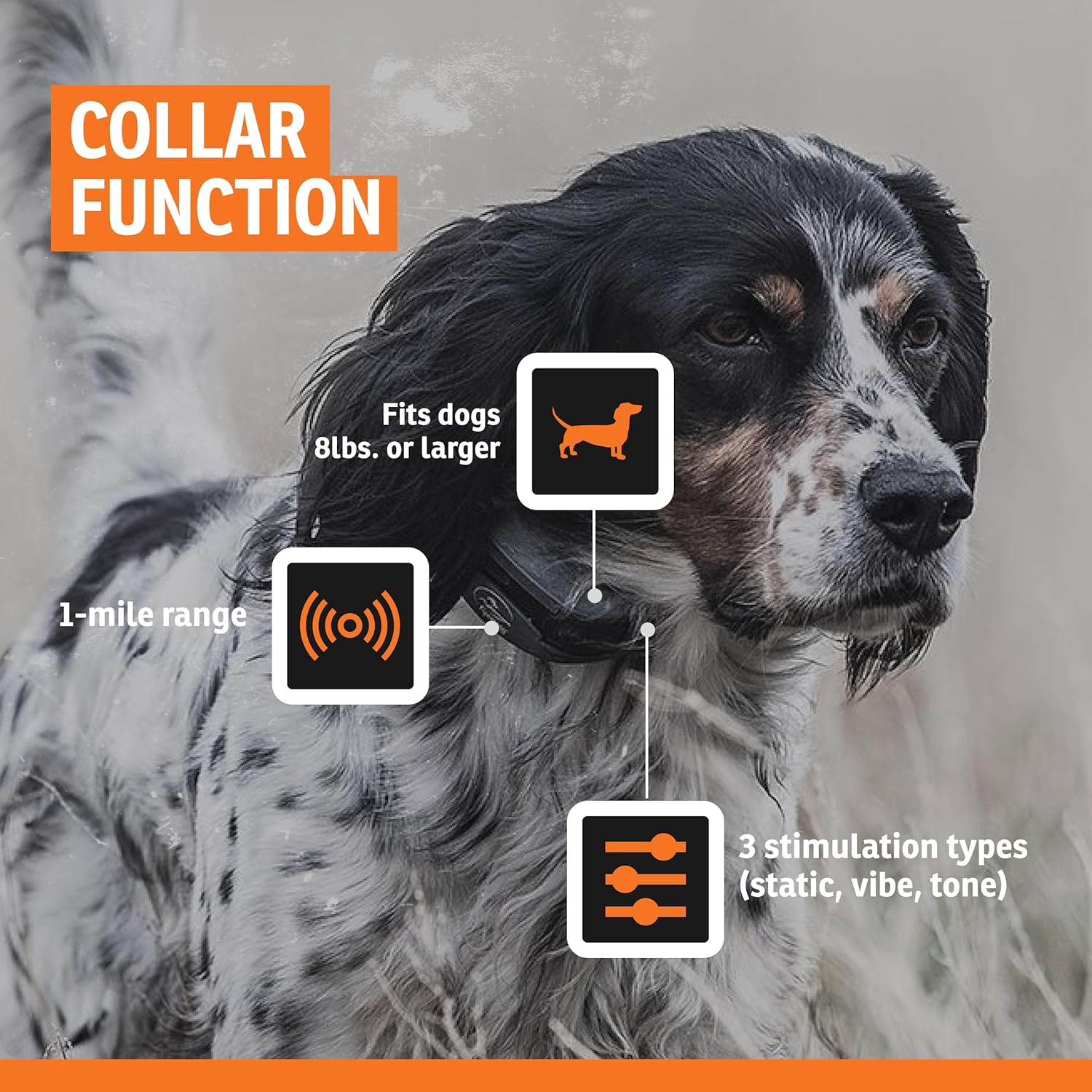 SportDOG FieldSentinel 1825 Remote Trainer with Bodyguard Health Alerts - Reliable Off-Leash Control - Adjustable Training Collar - Quick Charge Collar - 1-Mile Range - Black