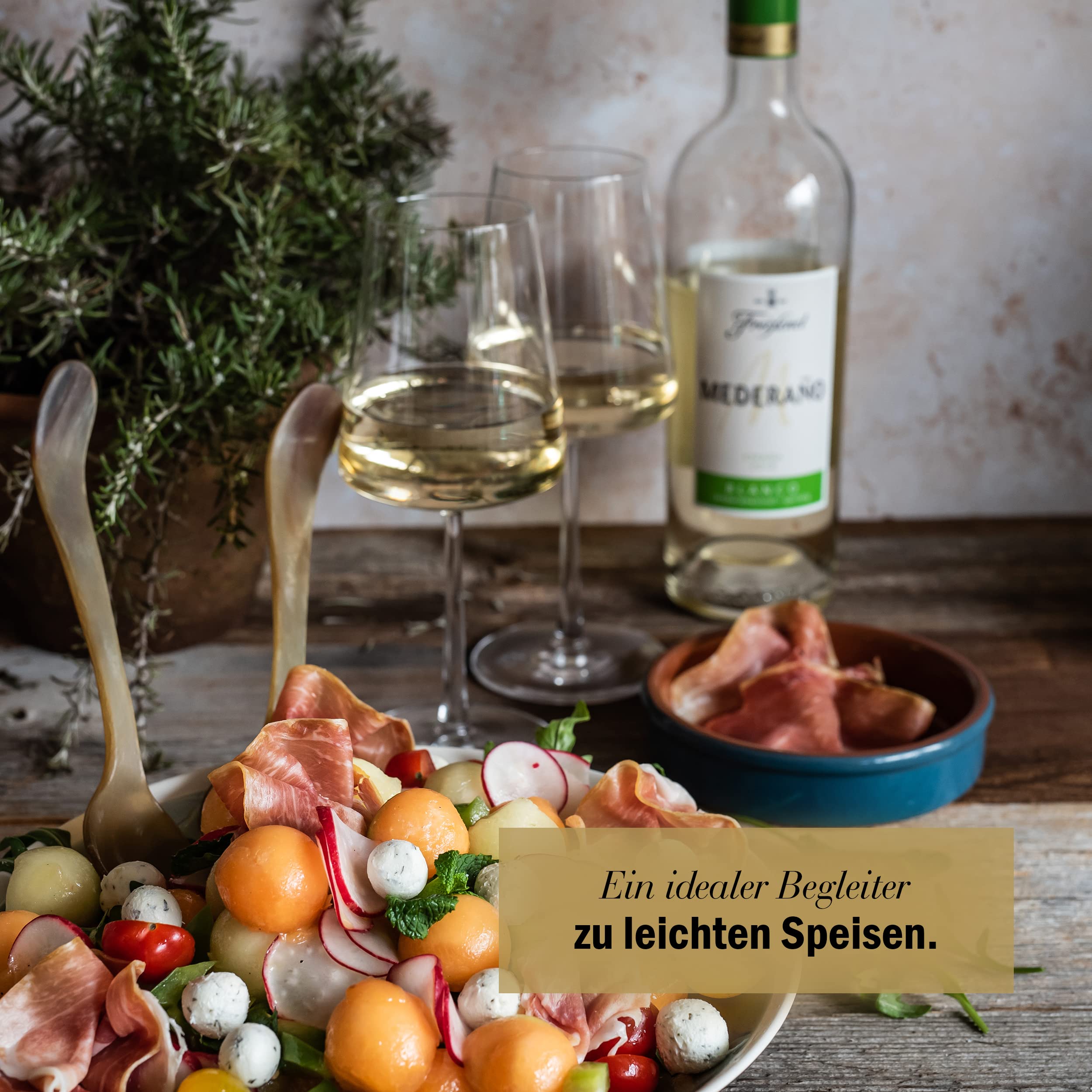 Freixenet Mederaño Blanco, Spanischer Weißwein (9x1,0l) Set - Sonder-Edition - Spanish White Wine, Wein, halbtrocken, ideal zu Sommersalaten und leichten Speisen
