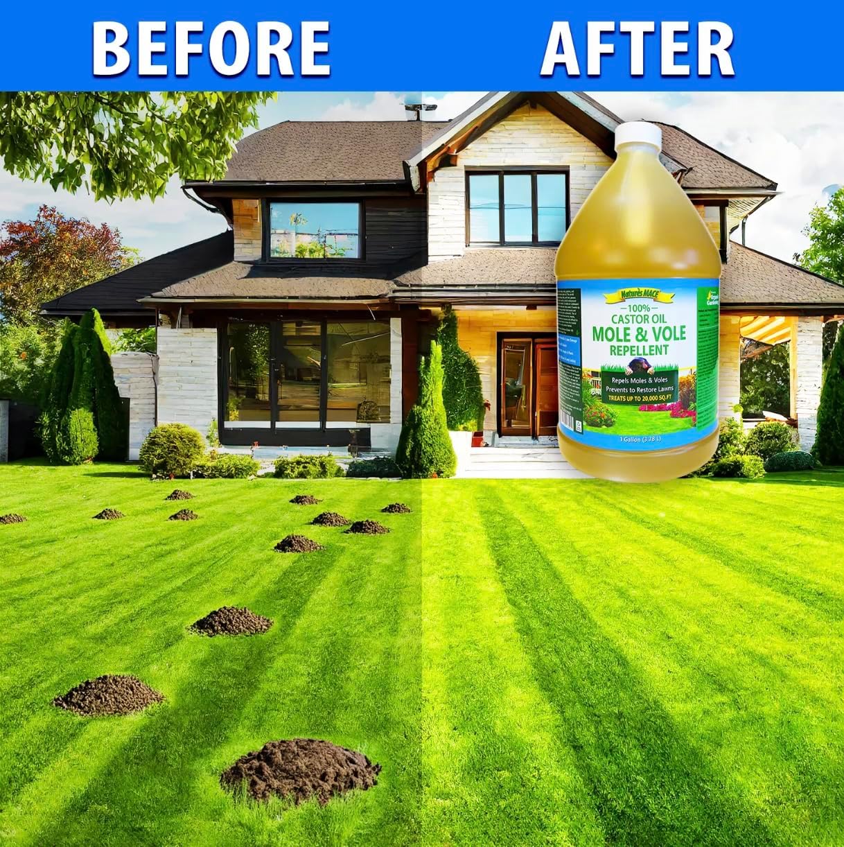 Nature's MACE Mole and Vole Mace, Mole Deterrent for Yard, 32 oz, Pure Castor Oil, Mole Repellent for Lawns, Stop Tunneling, Mole Remover Treatment, Castor Oil Repellent, People, Pet, Plant Safe