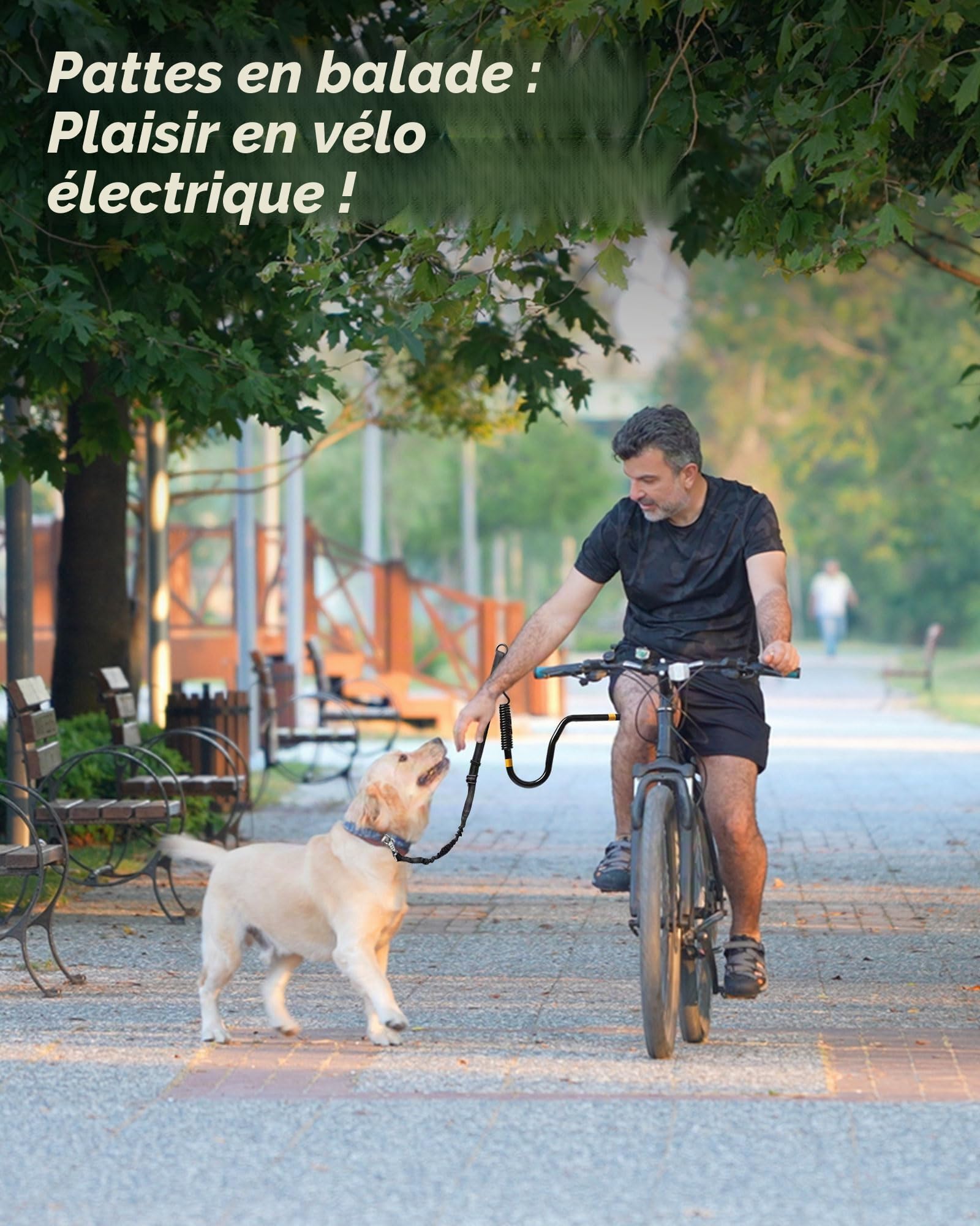 Laisse de Vélo Barre Cani VTT pour Chien Mains-Libres Bikejoring, Accessoire avec Amortisseurs