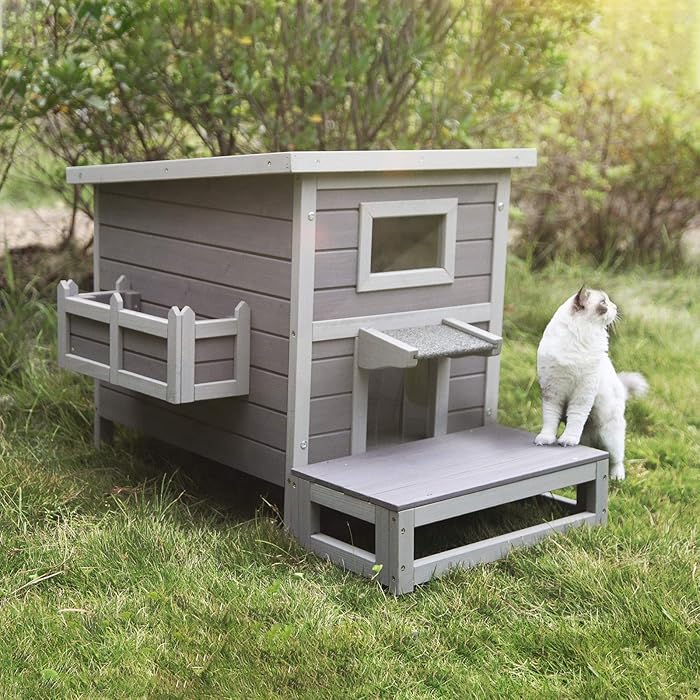 Buy GUTINNEEN Outdoor Cat House Kitty House with Escape Door, Cat
