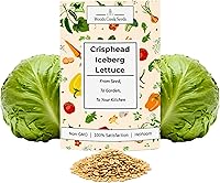 WoodsCreekSeeds Crisphead Iceberg Lettuce Seeds - Heirloom Non-GMO, Dense Crunchy Heads for Salads, Sandwiches & Home Gardens