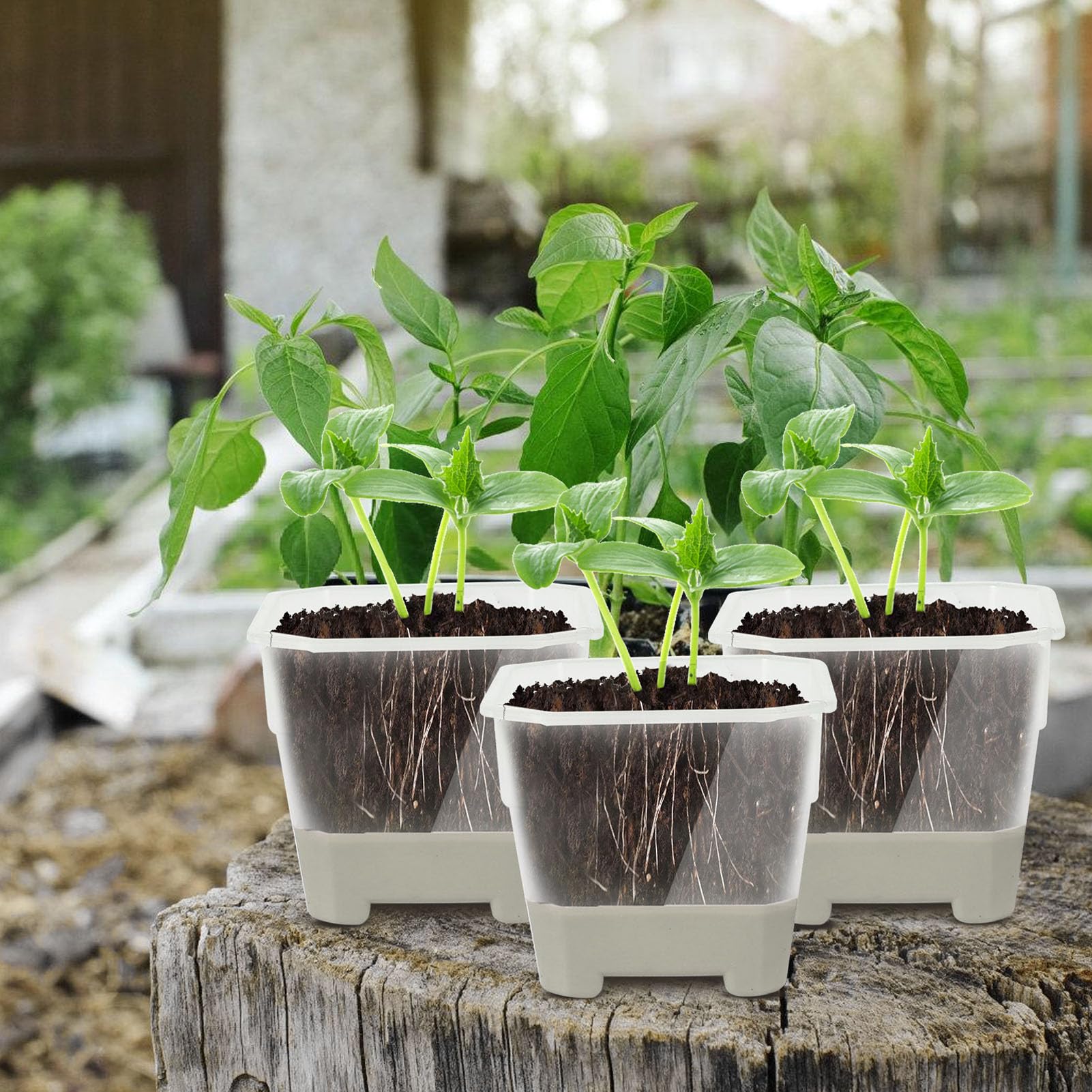 20 Stück C NursePots mit Reced Sile Base, Reu Blumensamen-Pflanzgefäße für den Innen- und Außenbereich, Gartenarbeit – Graue Pflanzenbehälter