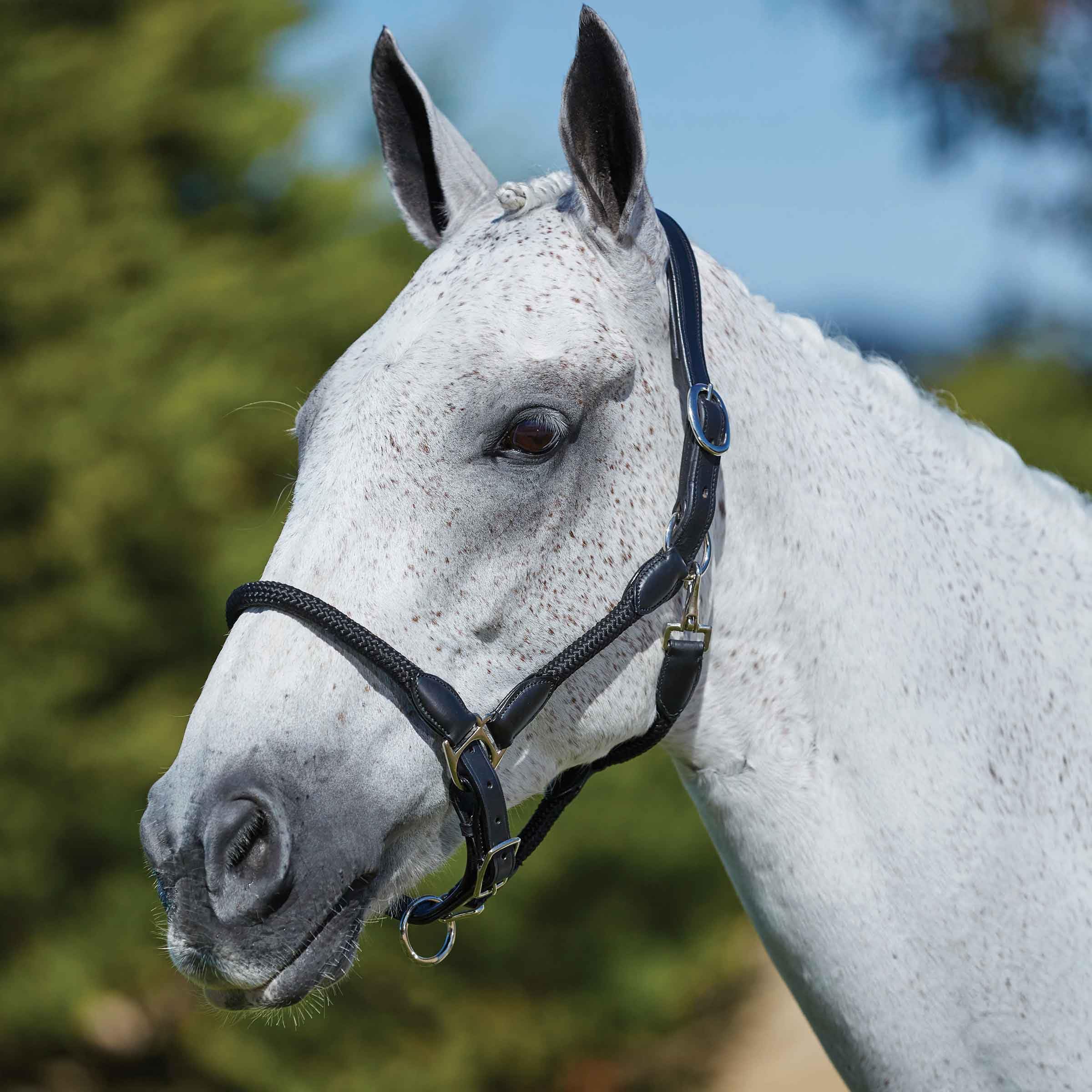 Horze Kincade Leather Rope Headcollar, Black, Warmblood — image 1