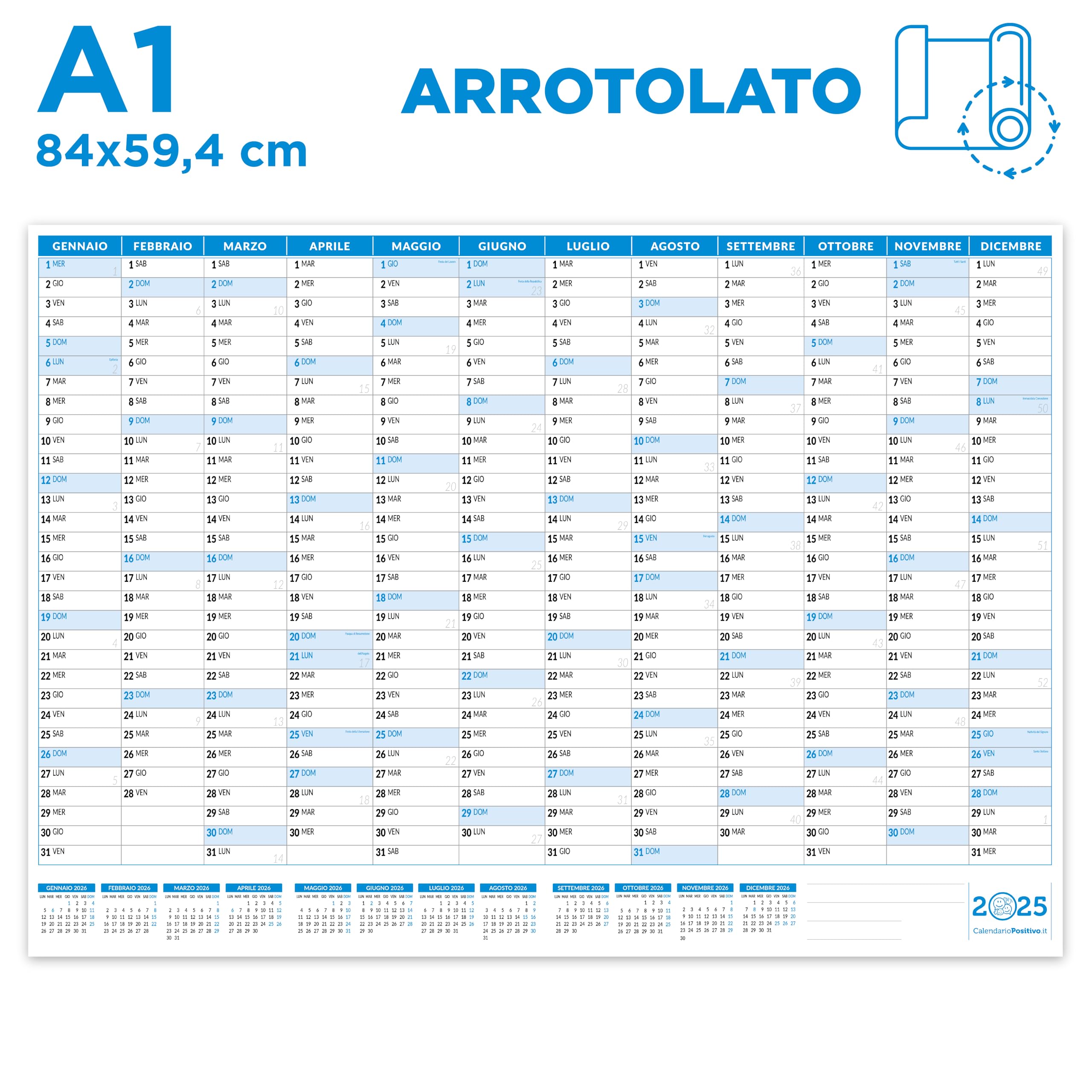 Wall Planner 2025 84 x 59 cm | Positive | Rolled Shipping Wrinkles | Large A1 Wall Size
