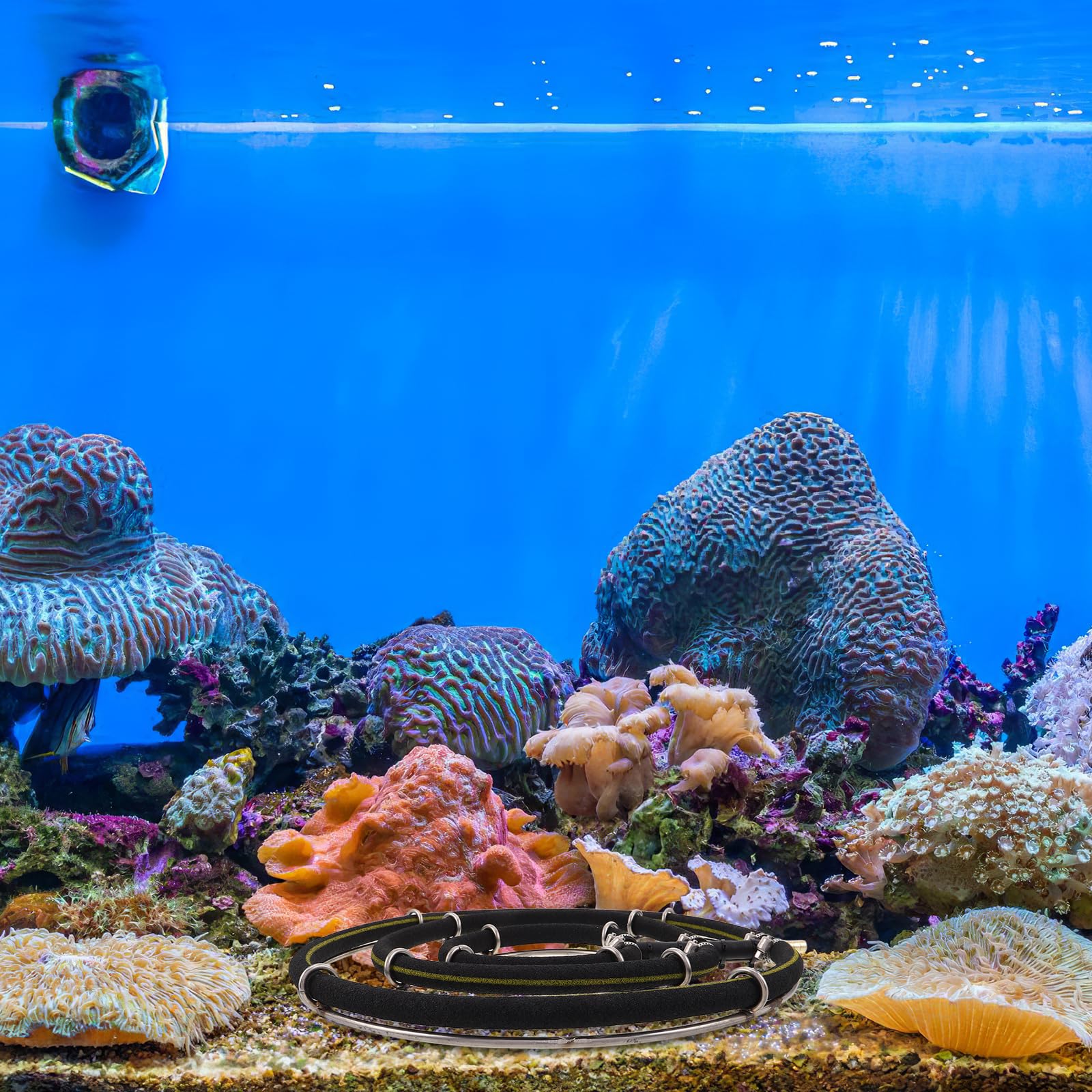 Aquarium Sprudlerstein 35cm aus Edelstahl mit 3 Ringen Nano Sauerstoffbläschen Diffusor für Teichbelüftung und Aquarien Geräuschloser Luftverteiler für Fischsauerstoffversorgung