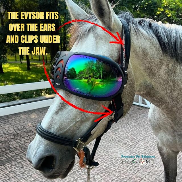 Foto 5 de 8 de EQUICK Gafas para Caballos eVysor