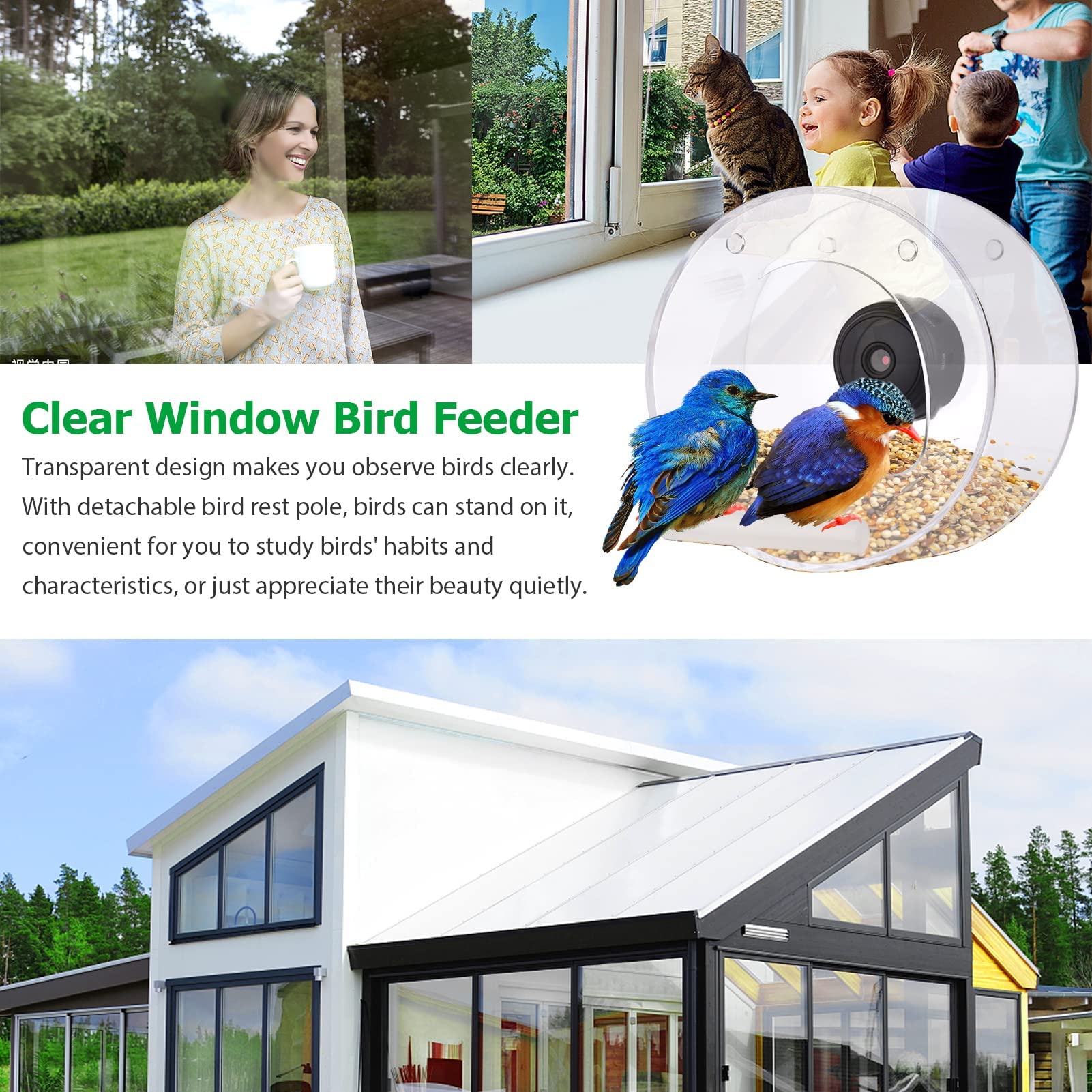 Comedero inalámbrico para pájaros con cámara, observa pájaros de cerca con visión nocturna HD, ventana de visualización clara y soporte con ventosa. Incluye tarjeta de almacenamiento de 16 GB