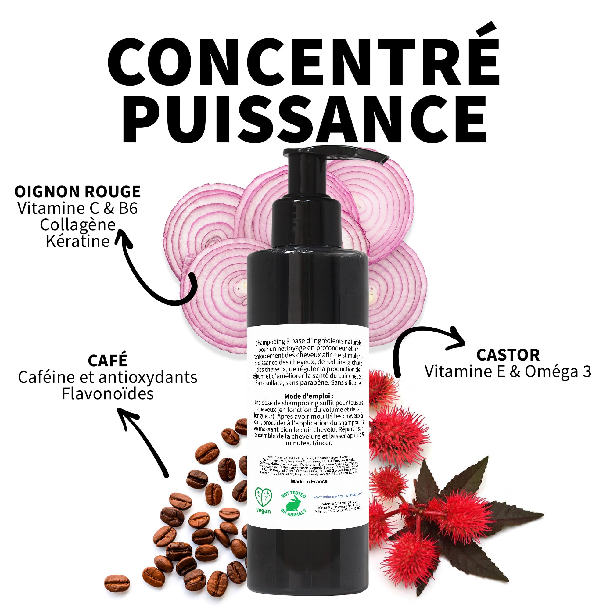 Shampooing Oignon, Caféine et Huile de Ricin pour Cheveux Antipelliculaire Volume Capillaire et Barbe Anti Chute Hydratant Croissance des Cheveux SANS SULFATE 3 x 200 ml