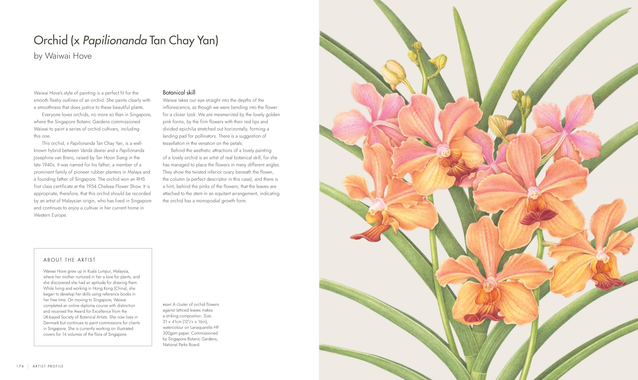RHS Watercolour Botanical Art: A Practical Guide for Artists