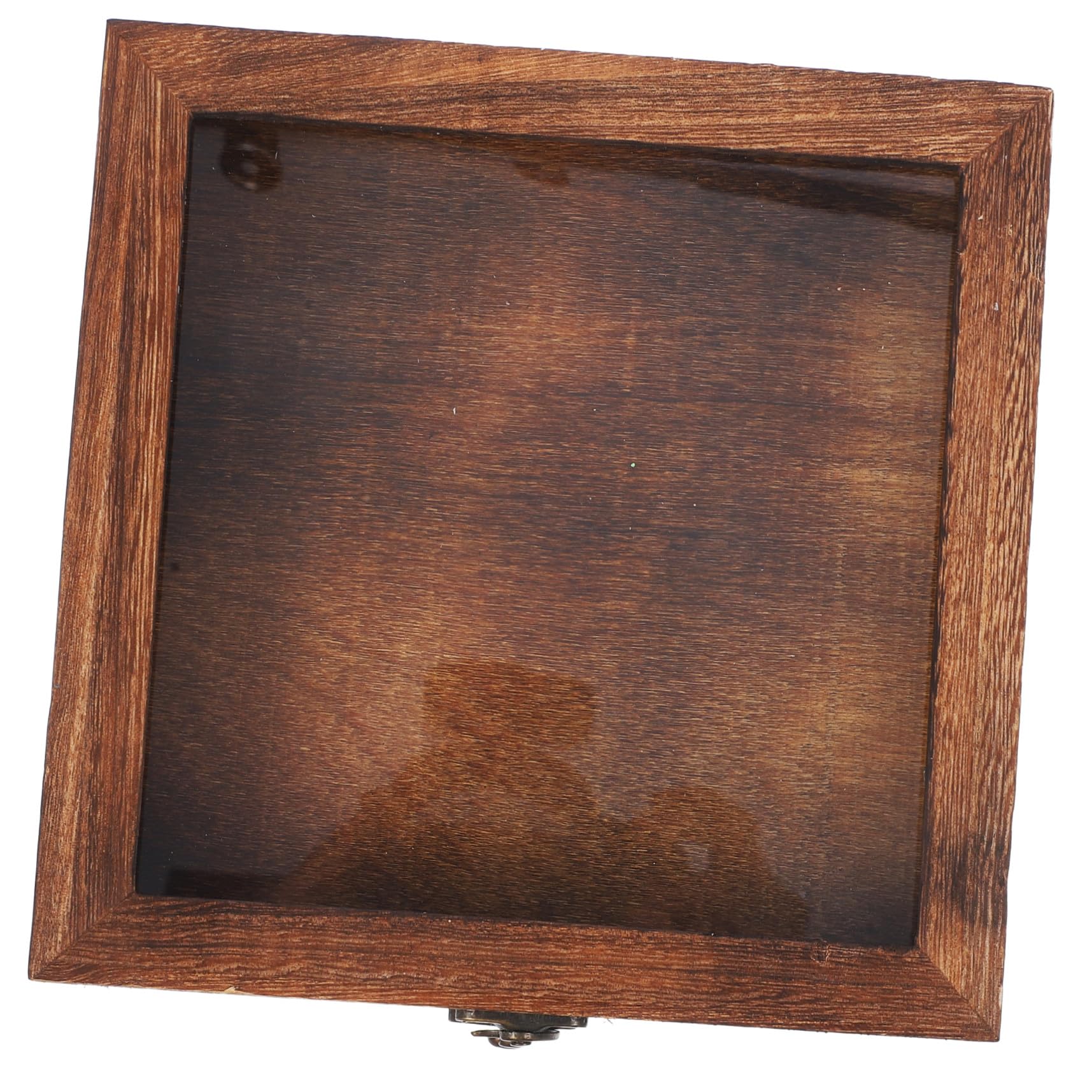 TOYANDONA Scatola Espositore per Insetti Ganci in Legno e Acrilico, Stile Retrò, Grande Capacità, Portatile e Sicura per Collezioni di Farfalle e Altri Insetti