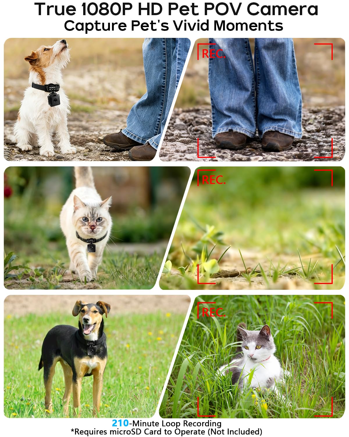 AEZ Haustier-Kamera-Halsband, 1080P Hotspot-WLAN-Action-Kamera, App-Steuerung, magnetisch, tragbar, Sport-DV-Halsbandkamera für Katzen/Hunde oder Körperkamera (keine SD-Karte im Lieferumfang enthalten