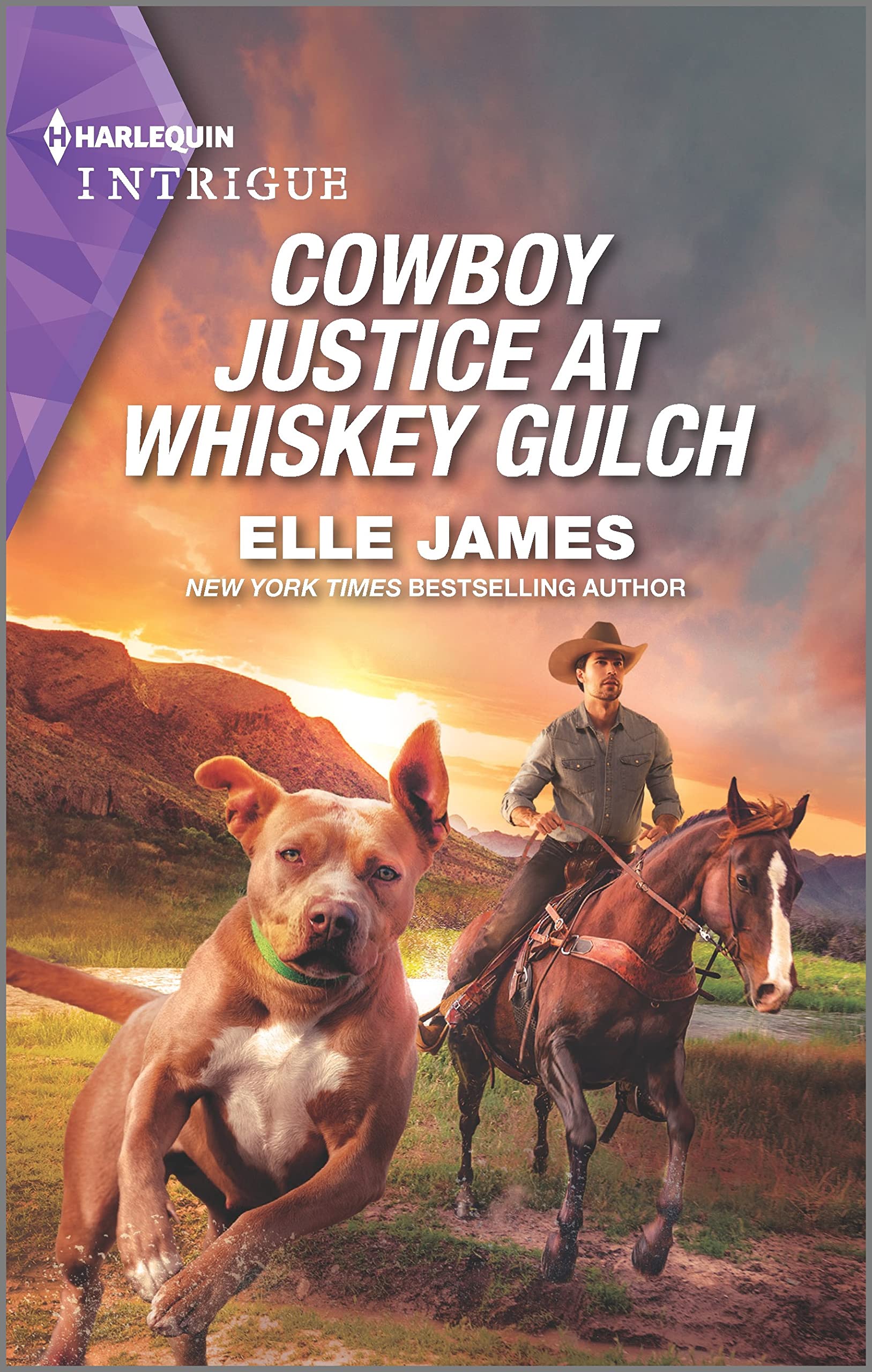 Cowboy Justice at Whiskey Gulch (The Outriders Series, 6) James,