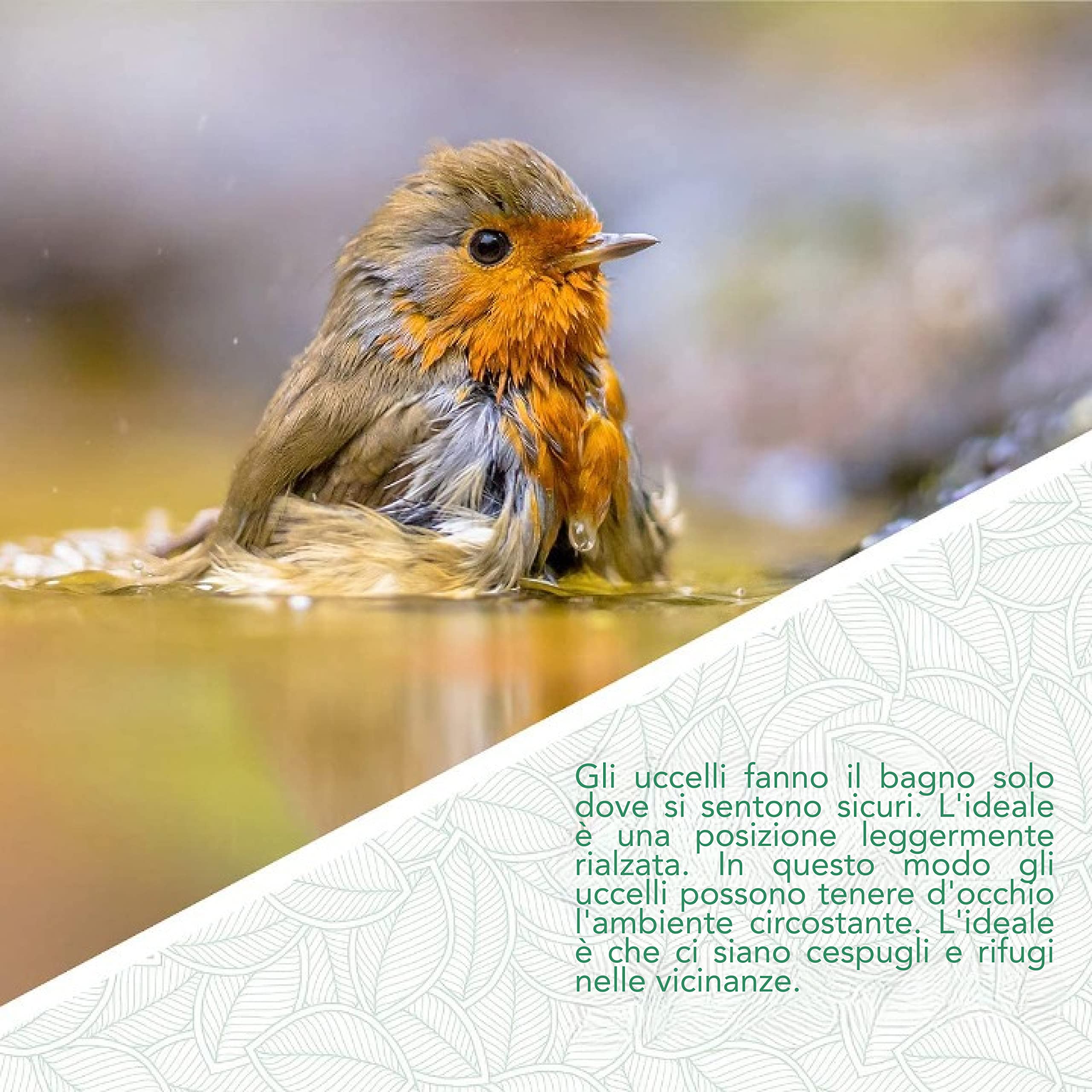 WILDLIFE FRIEND | abbeveratoio per uccelli da appendere, resistente alle intemperie, per mangiatoia, vasca per uccelli da appendere, abbeveratoio per uccelli con uccellino