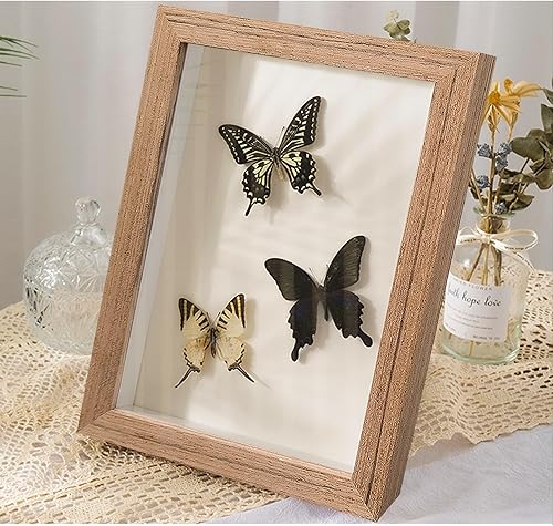 Miniatura 5 de Paquete de 2 marcos de caja de sombra de 8 x 10 pulgadas, vitrina de madera original, superficie de vidrio, profundidad interna de 0.6 pulgadas para