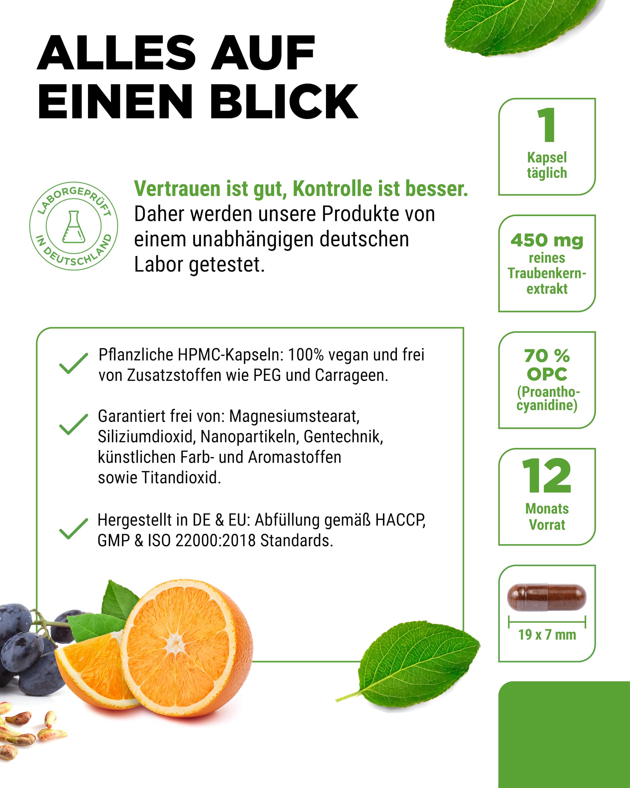 vit4ever OPC Traubenkernextrakt + Vitamin C - 365 Kapseln 315mg OPC | 450 mg Traubenkernextrakt, 75 mg Vitamin C, 12 Monatsvorrat, vegan