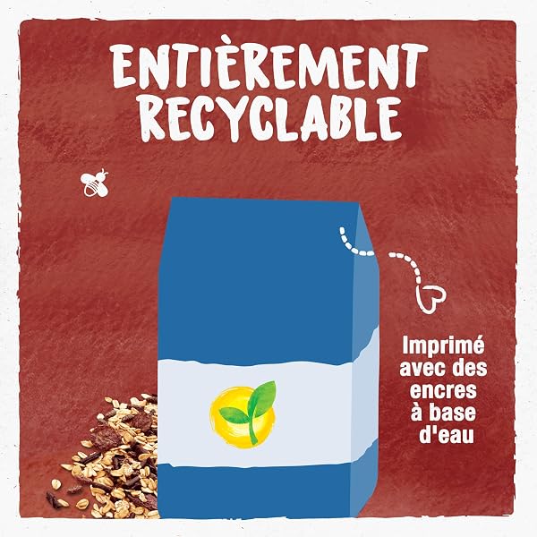 BJORG - Muesli Avoine Chocolat Bio - Muesli Croustillant aux Céréales Complètes - Sachet 375 g - 4
