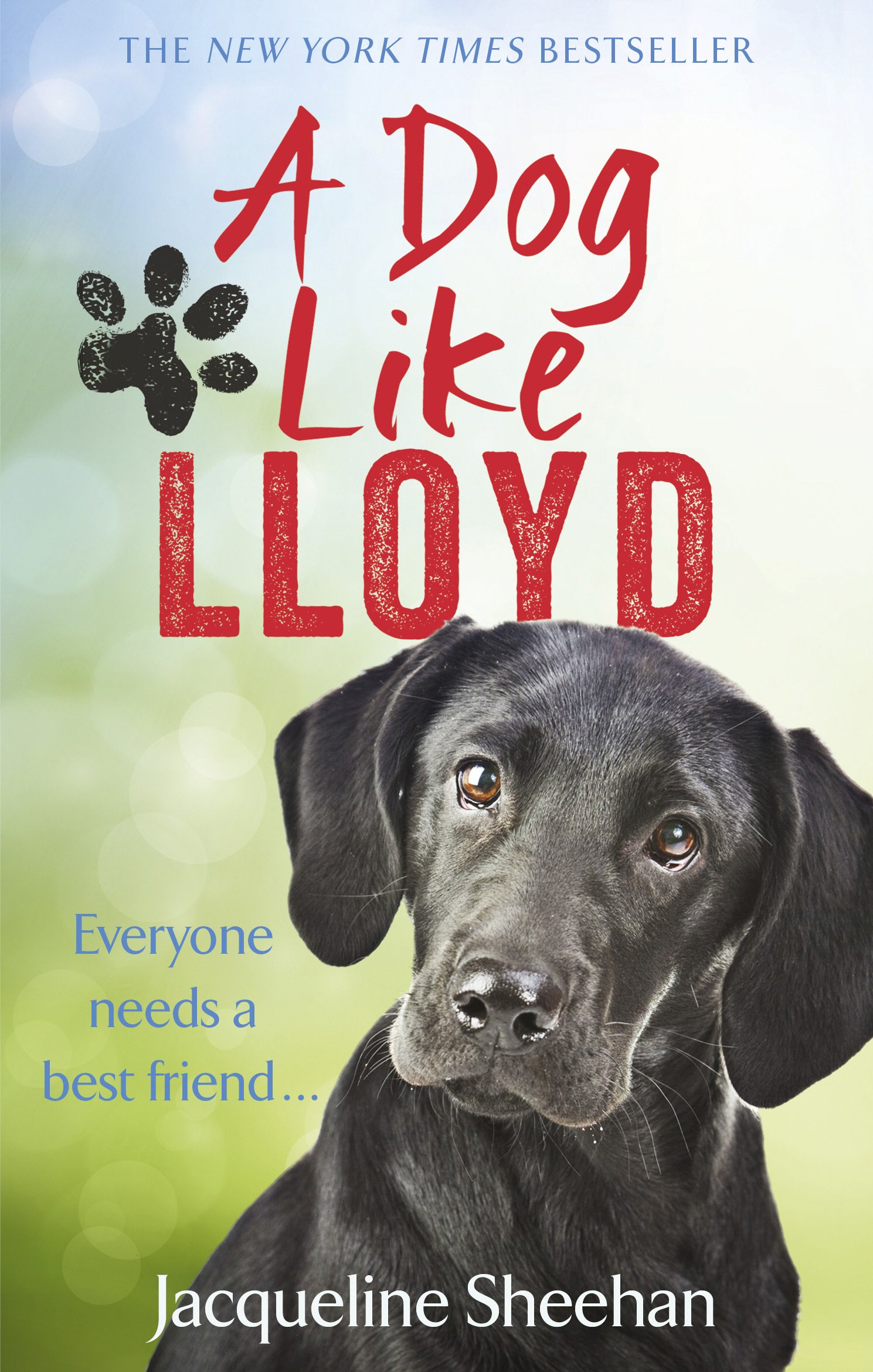Random House Books for Young Readers A Dog Like Lloyd