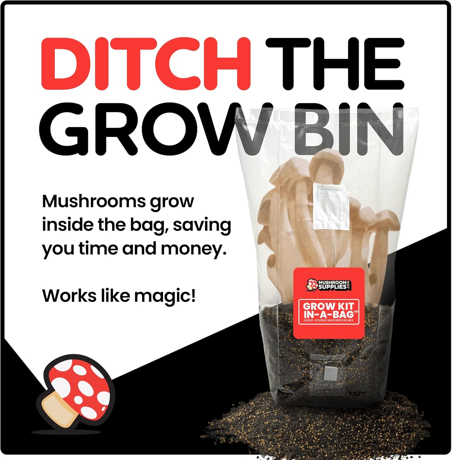 Mushroom Grow Kit - Image 3