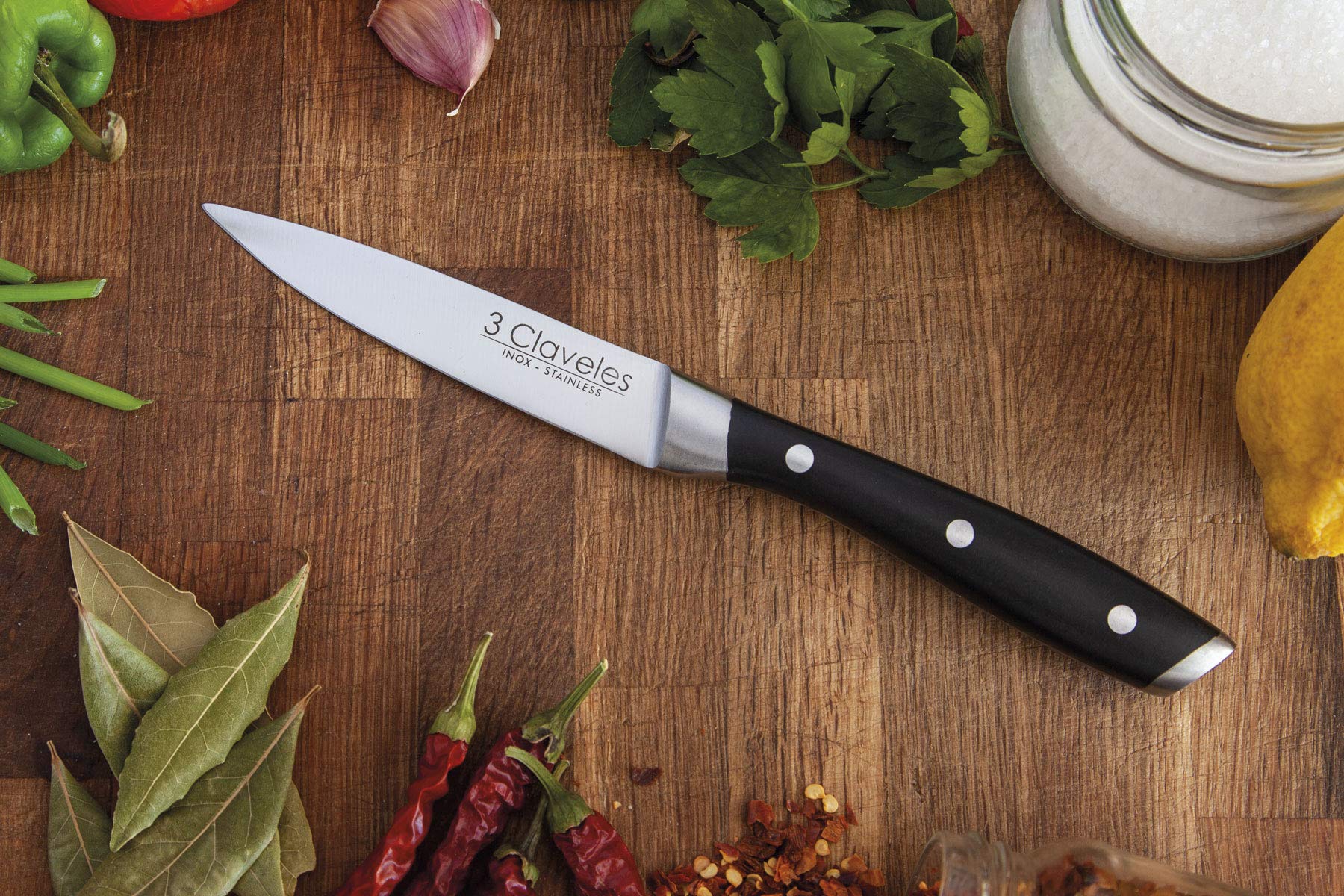 3 Claveles Professional Steak Knife Set, Dishwasher Safe Kitchen Utensils Set with ABS Handle