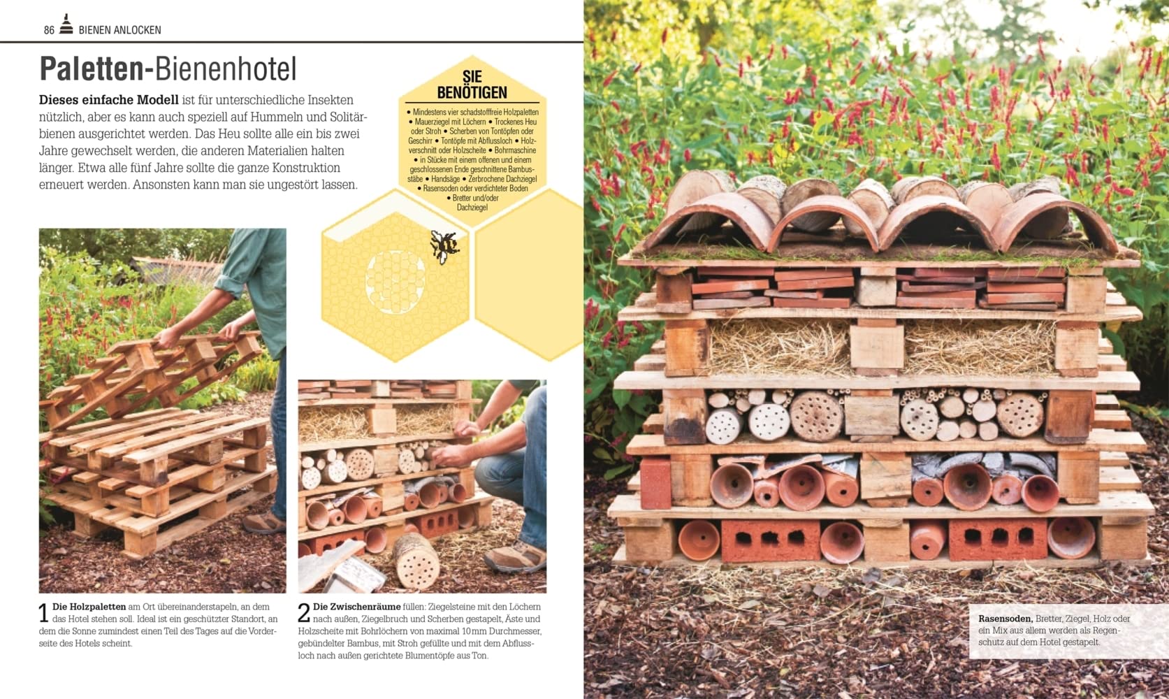 Das Bienen Buch: Bienen verstehen, schützen und halten