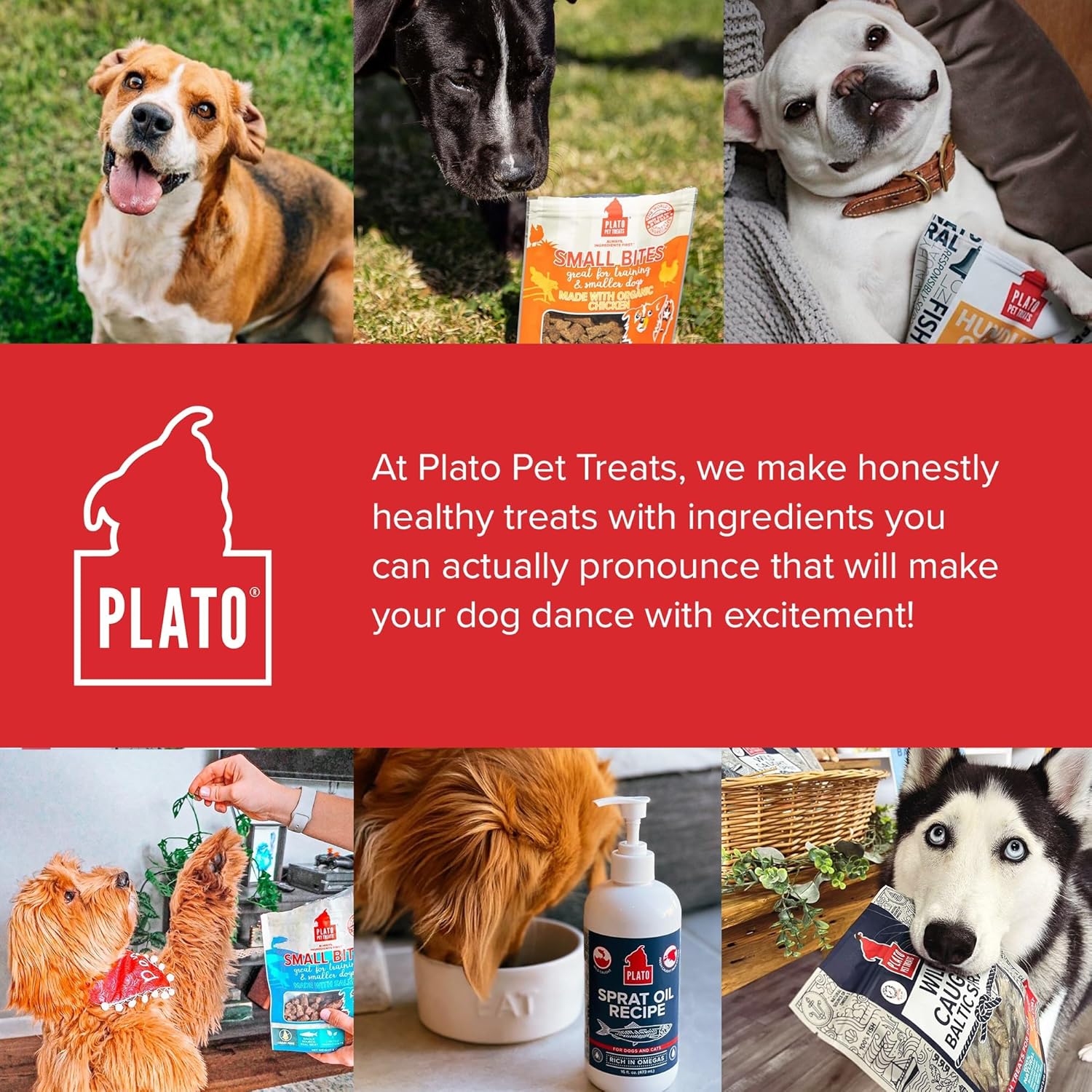 PLATO Thinkers Chicken 18oz, Natural (850002221565)