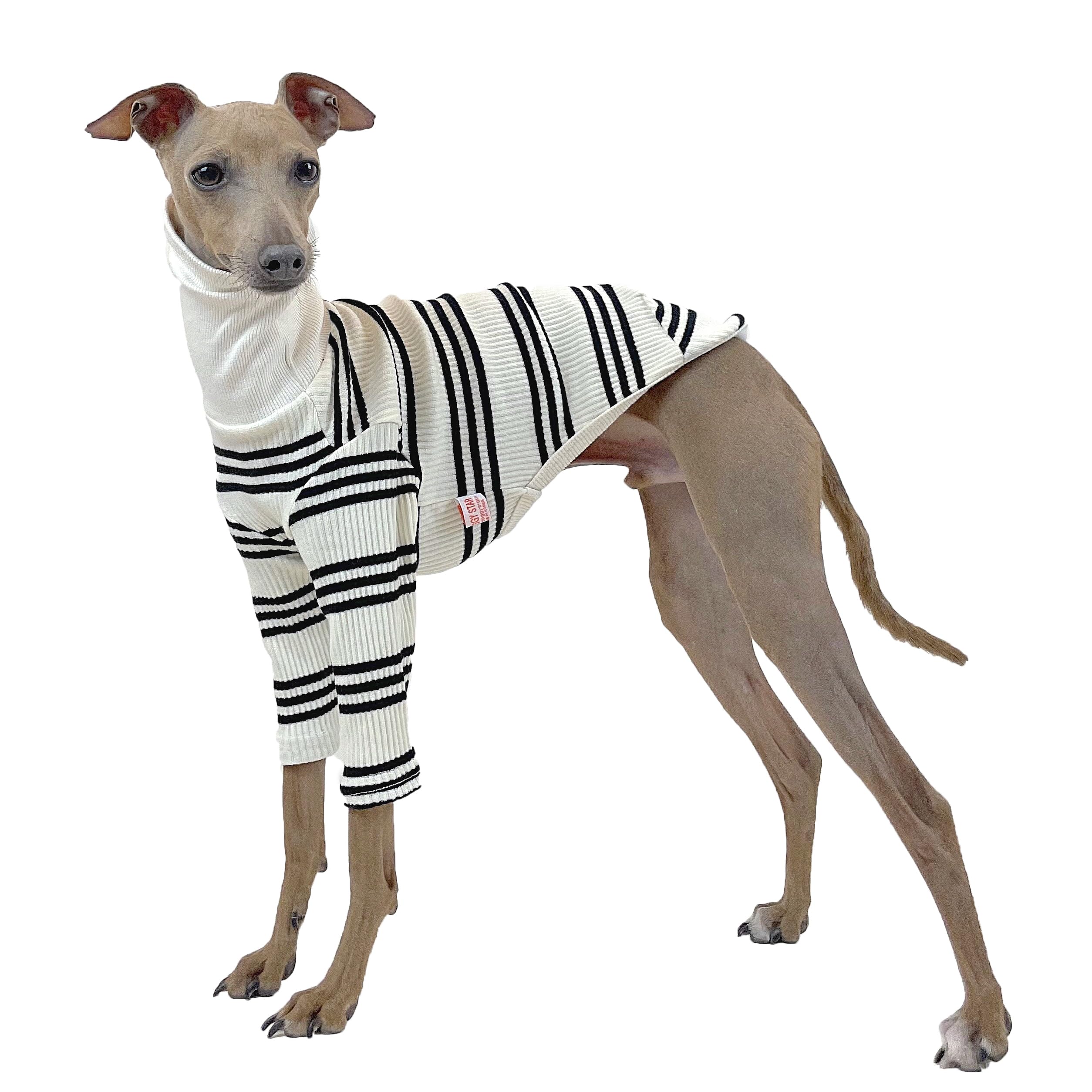 D Doggy Star Italian Greyhound Clothes Flexible T Shirts Whippet for Dogs (M,Black Stripe) — image 1