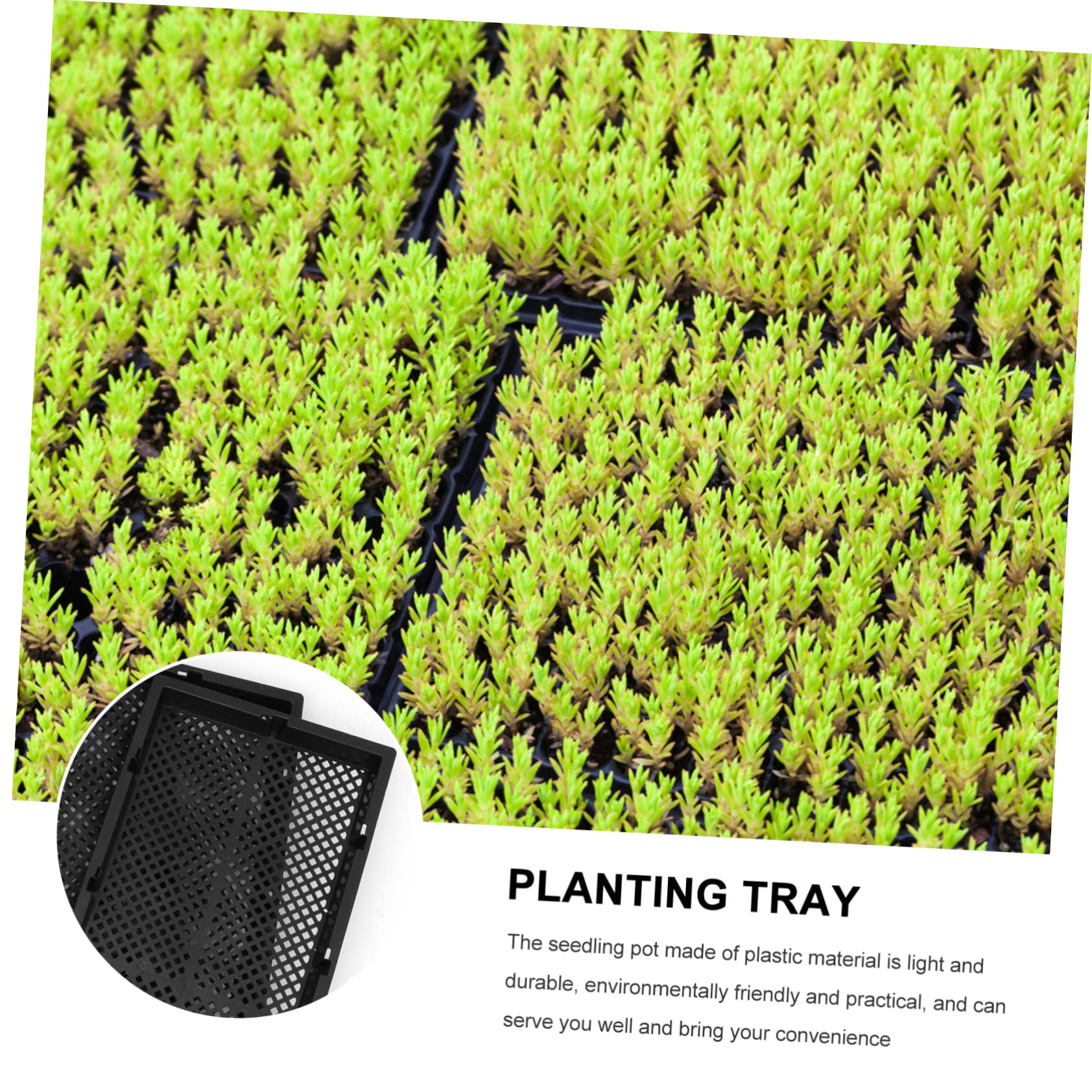 5pièces Plateau De Culture Hydroponique Lot de Trays De Jardinière Contenants De Plantation Pratiques pour Germination De Plantes Et Cultures à Domicile