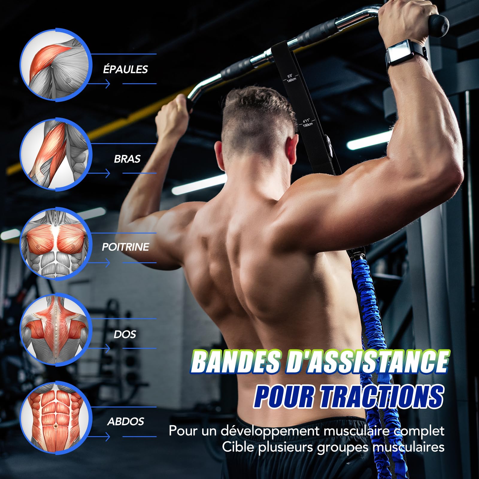 ALongSong Elastique Musculation pour Tractions avec 4 ou 5 Bandes Elastique de Résistance 80-320Lbs/80-400LBS d'Aide Traction, Pédale de Soutien, Réglables Hauteur pour Entraînement Pull Up Gym
