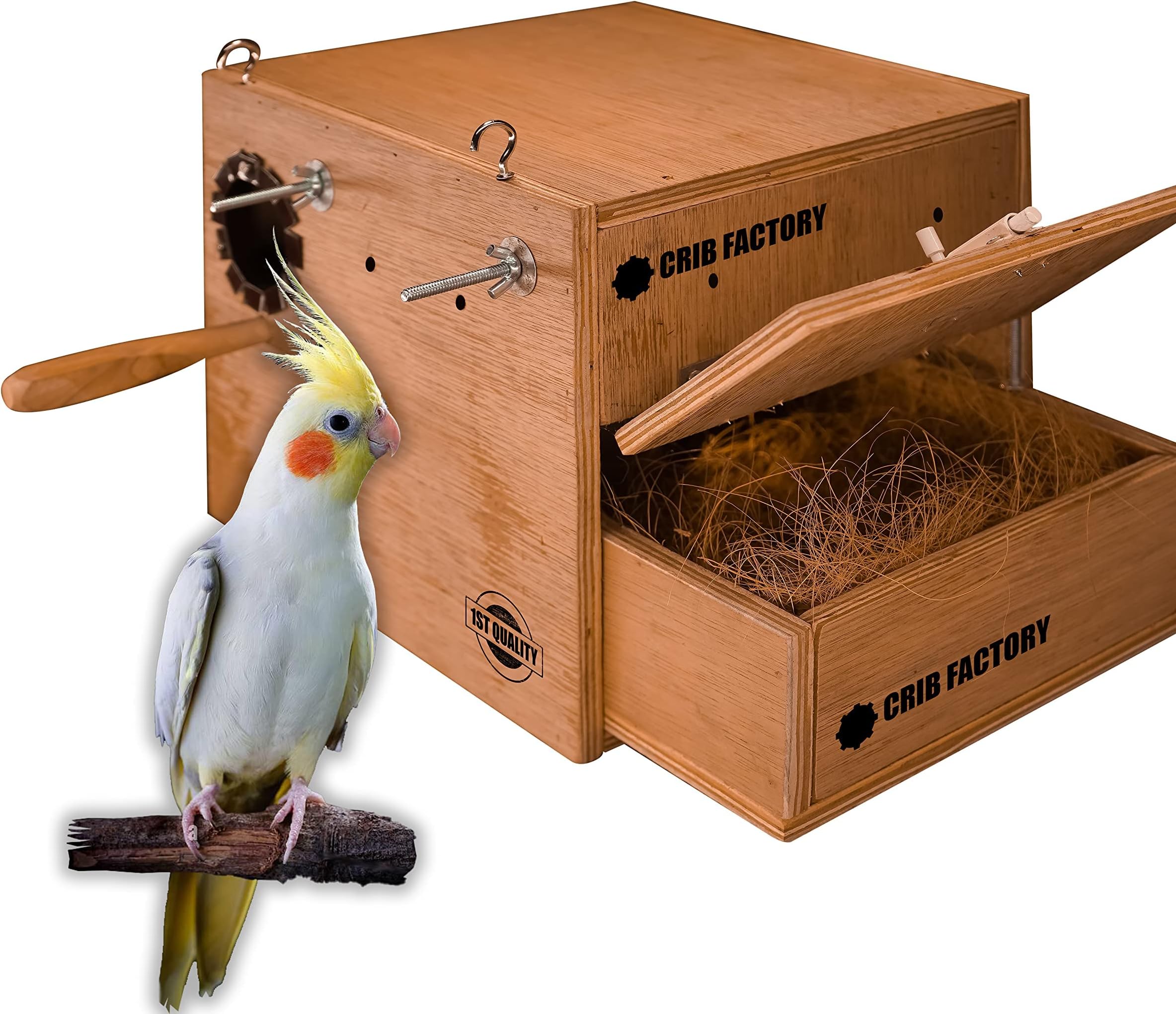 Crib factory Perfect Breeding Box for cockatiel birds HIGHQULTY PLYWOOD 12X10X10 INCH