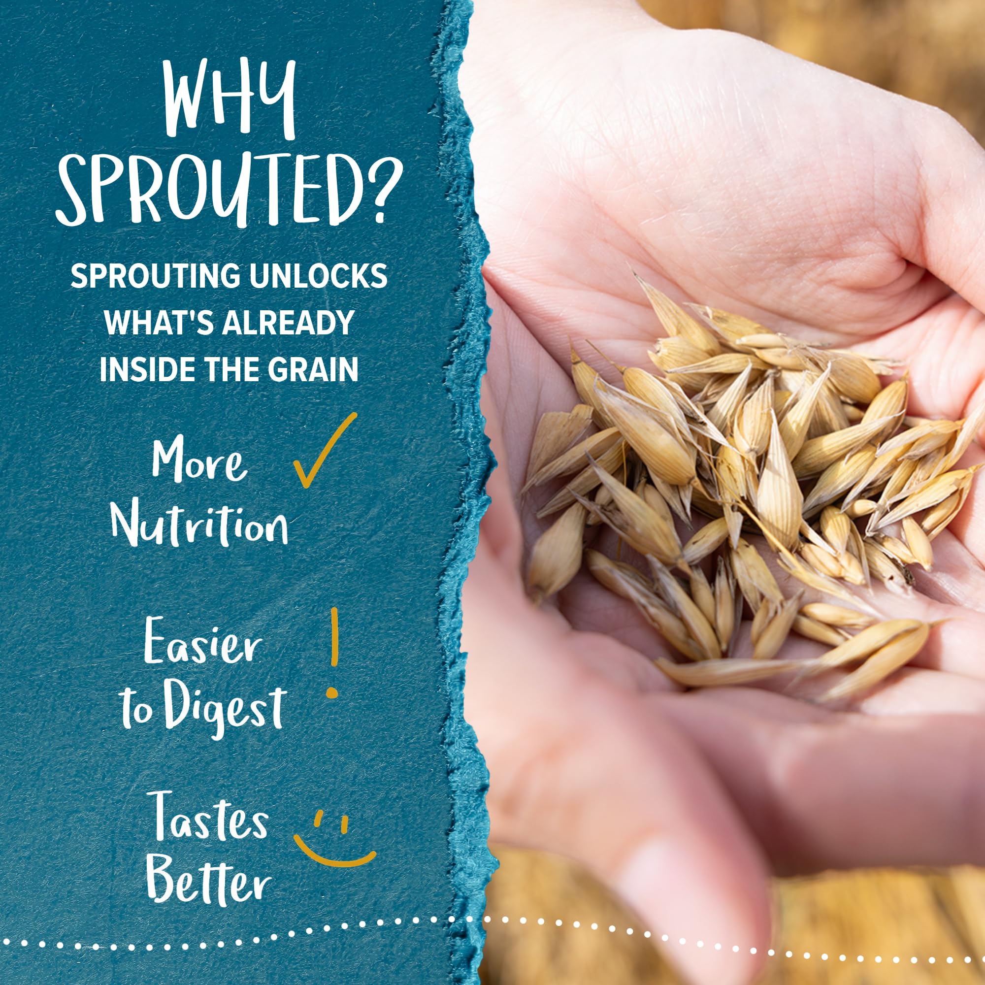 One Degree Organics Sprouted Quick Oats 24oz thumbnail 5
