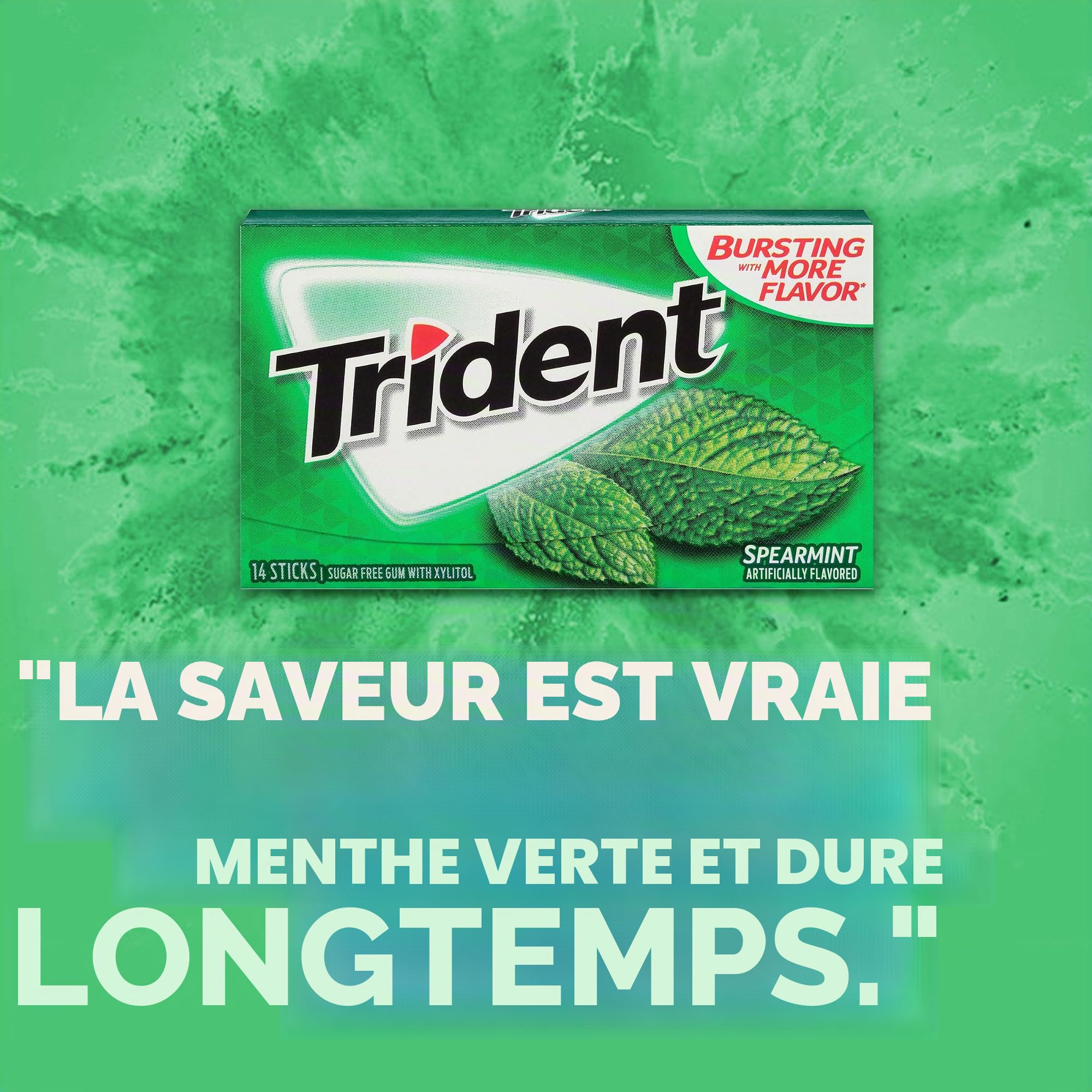 Trident Gomme à mâcher sans sucre à la menthe verte, menthe verte, 12 paquets de 14 (168 au total)
