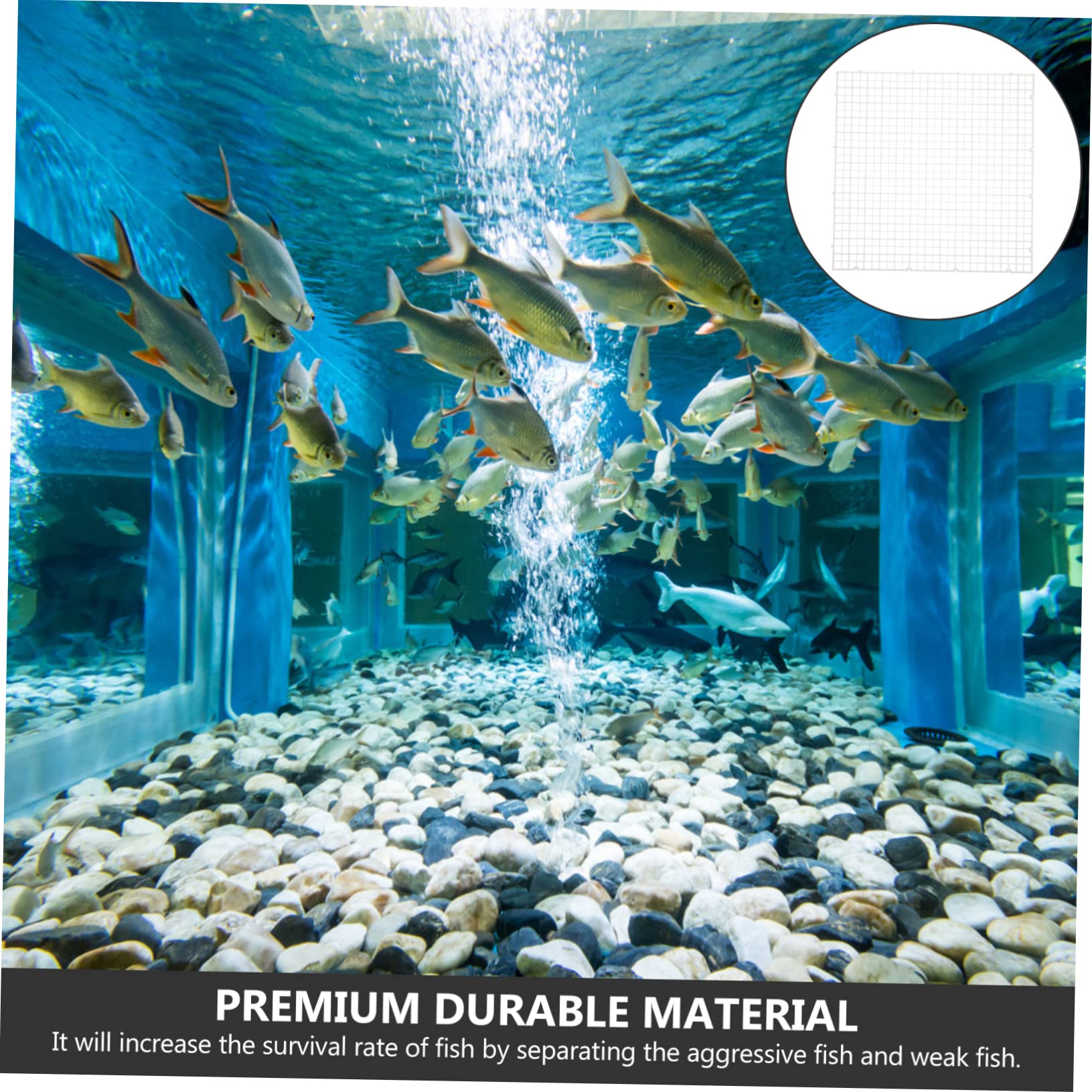 Beaupretty 6 Piezas Rejilla Divisoria para Peceras Tablero Aislado del Acuario Suelo De Acuario Platos De Pecera Rejilla Divisoria De Acuario Plato De Pecera Malla Filtrar Polietileno