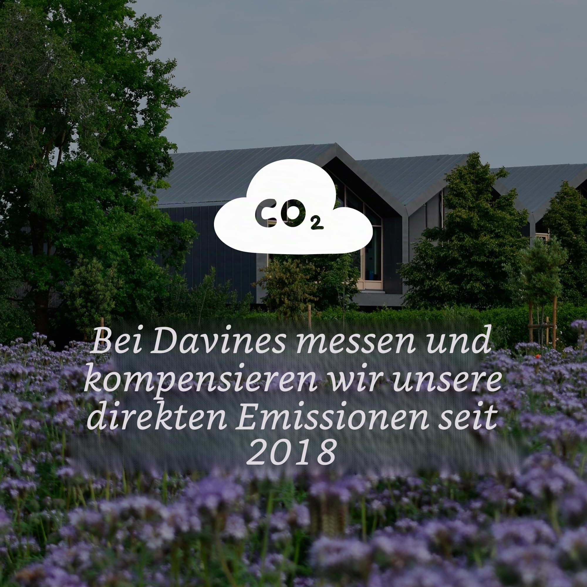 DAVINES, Haargeschenkset - 400 ml