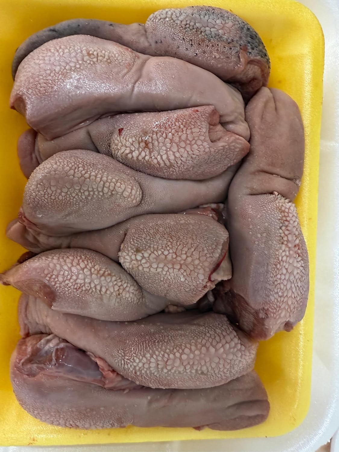 Halal Florida Lamb Tongues, Fresh Premium Quality Organ Meat, Hand-Slaughtered, Cleaned & Ready to Cook, High Protein, Ideal for Boiling, Grilling & Traditional Dishes , Fresh, organ meat carefully cleaned and prepared for cooking .. [ 48 oz , 3 lb ]
