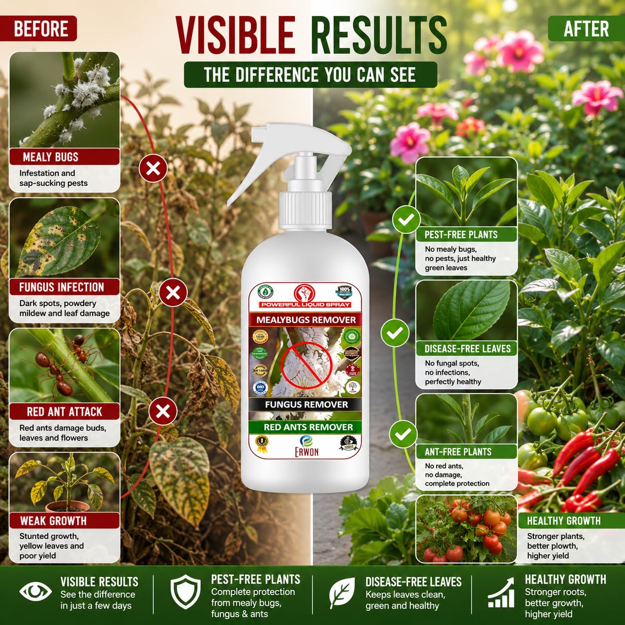 Erwon® Mealy Bug Hunter, Premium Essential Organic Powerful Liquid Spray for Removing Mealy Bugs from Plants. (200 ml) 3
