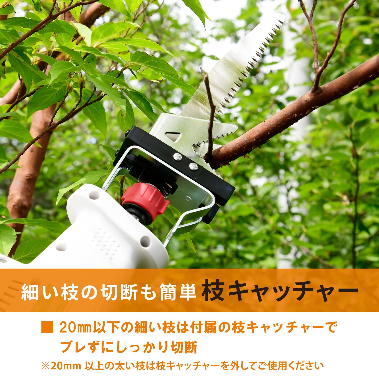 Amazon | 山善(YAMAZEN) 高枝ガーデンポールソー AC電源 着脱式伸縮 