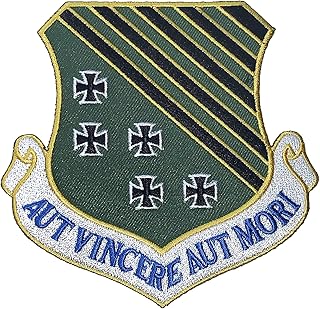 1st Fighter Wing AUT Vincere AUT Mori Patch â€“ Plastic Backing