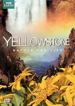その他 Yellowstone: Battle for Life [DVD] 81i71cbVpEL._UF350,350_QL50_.jpg