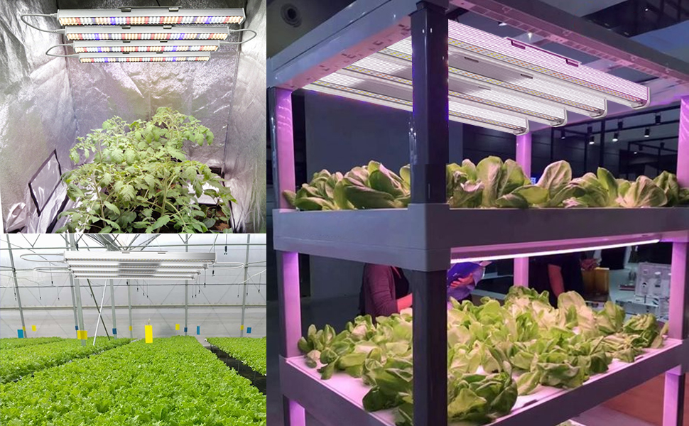 Watch Full Spectrum Grow Light on Amazon Live