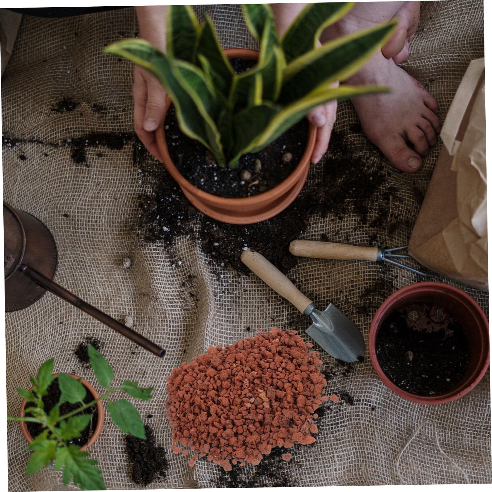 5taschen Beutel Vulkansteine Für Aquarien Und Pflanzen Dekorative Steine Für Fischbecken Blumentöpfe Und Bonsai Naturstein Deko Für Innenräume Und Terrarien