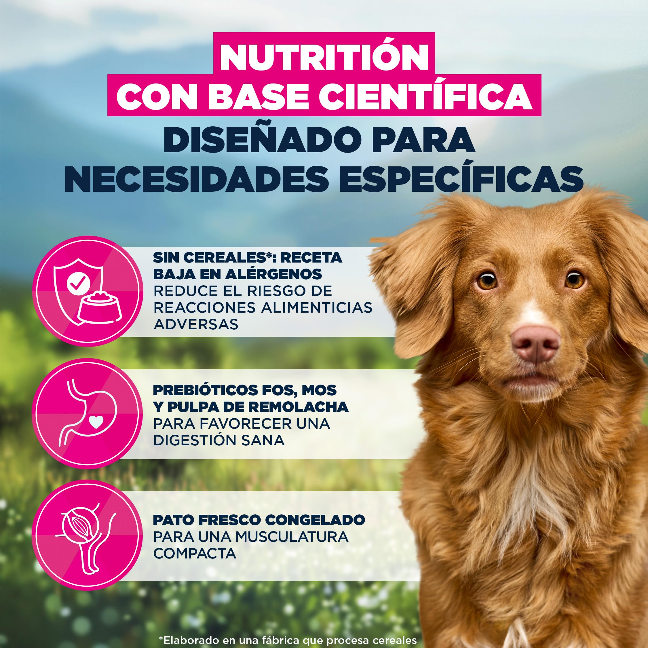 EUKANUBA Mono-Protein Pato- Alimento para Perros - Alimento seco Special Care con Pato como única proteína Animal, fórmula hipoalergénica, 12 kg