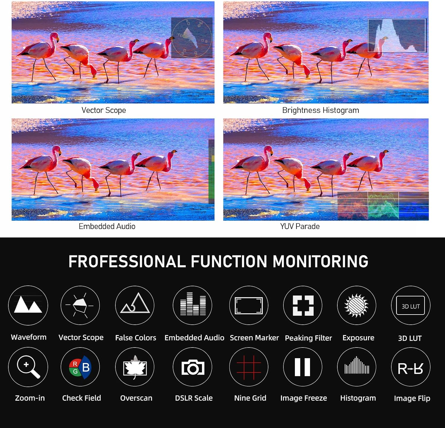 FEELWORLD S55E 5.5Inch Camera DSLR Field Monitor Custom 3D LUT Camera Monitor 4K HDMI Input & Output Waveform Monitoring Lightweight with F750 4400mAh Battery and Bag