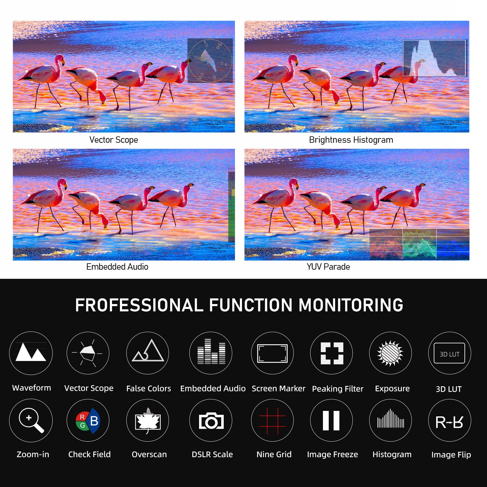 FEELWORLD S55E 5.5Inch Camera DSLR Field Monitor FHD 1920X1080 Personalizzato 3D LUT Camera Monitor 4K HDMI in Out Monitoraggio Forma d'onda Leggero con F750 4400mAh Batteria e Borsa