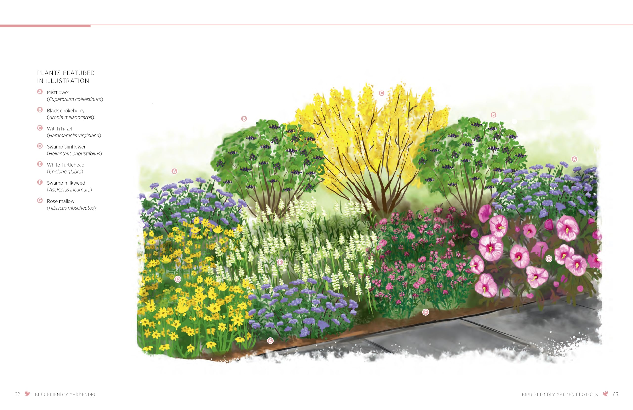 Bird-Friendly Gardening: Guidance and Projects for Supporting Birds in Your Landscape - Image 5