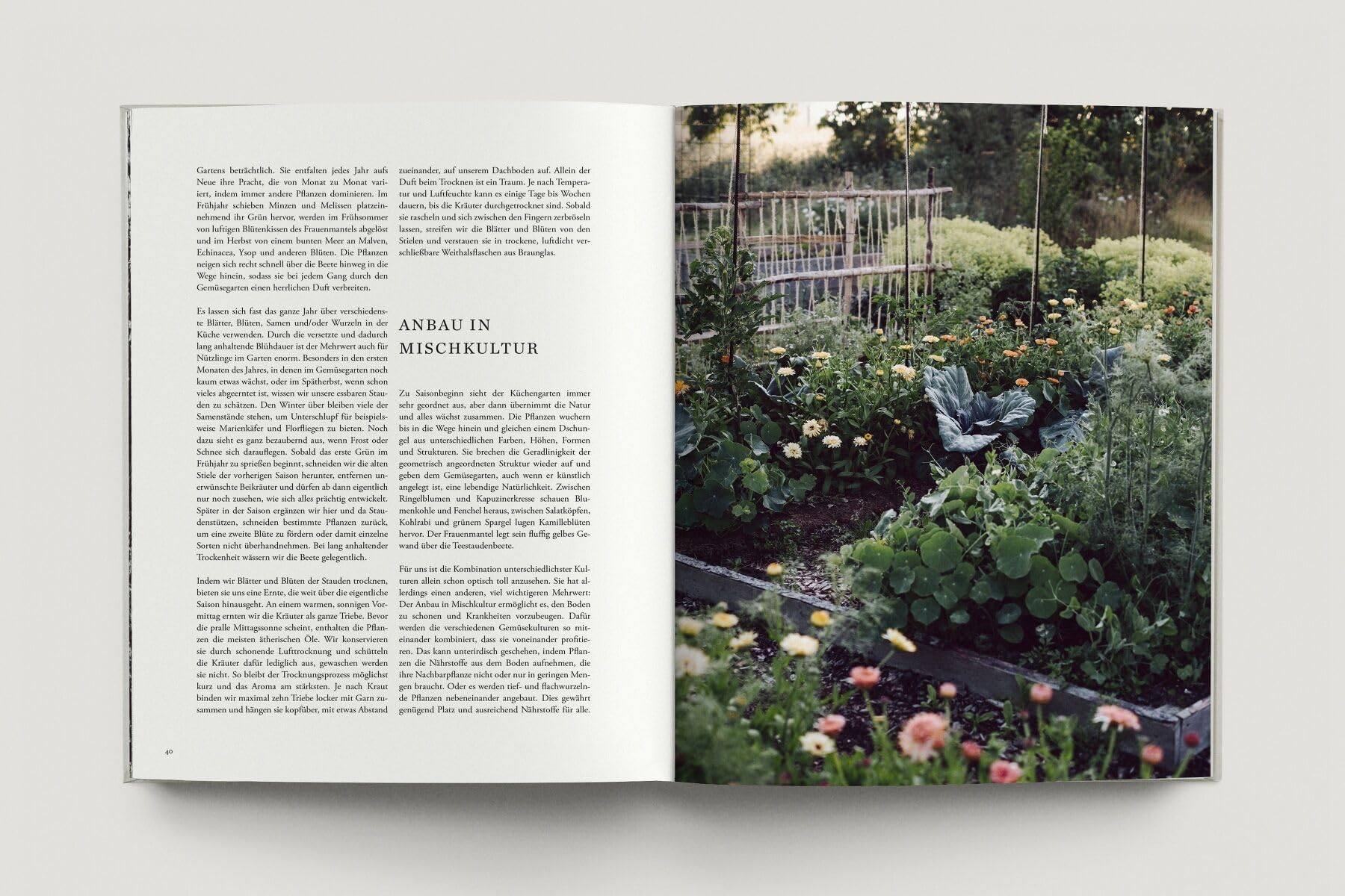 Zu den Wiesen: Vom naturnahen und artenreichen Gärtnern. Ein Gartenporträt. Das neue Buch zum Blog Krautkopf - Deutscher Gartenbuchpreis 2024