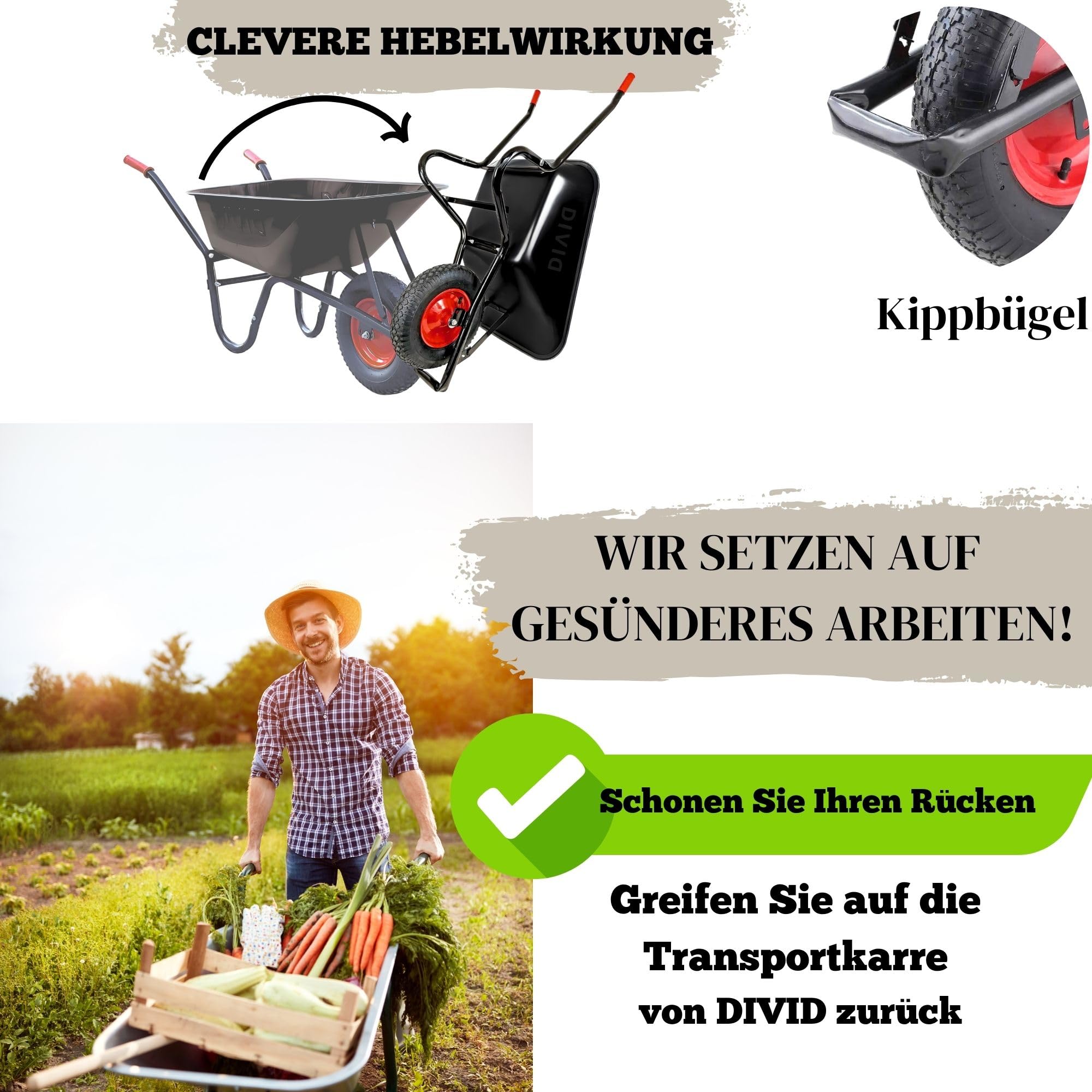 DIVID® Schubkarre 250Kg | 100Liter | Luftreifen mit Stahlfelgen | Schiebkarre | Bauschubkarre | Gartenschubkarre | Transportkarre mit robustem Stahlrahmen (Schwarz)